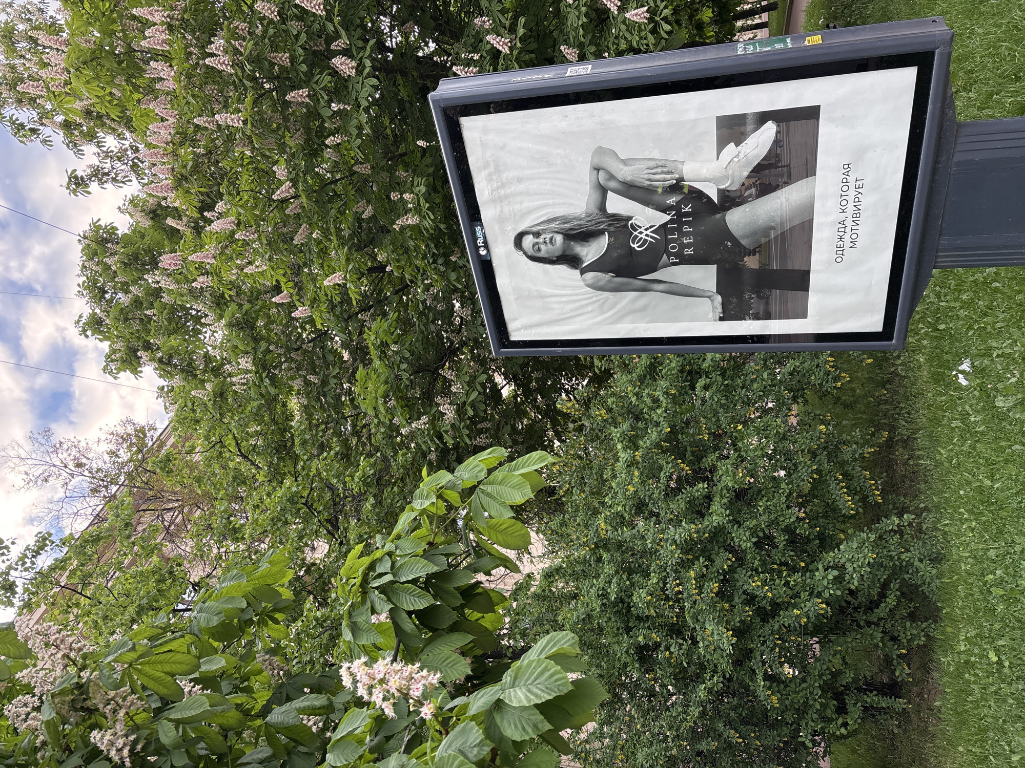 The image depicts a street scene in Saint Petersburg, Russia. A large advertisement for "POLINA REPIK" clothing is prominently displayed on a post, next to abundant greenery. The ad features a black-and-white image of a woman in athletic wear. The Russian text "ОДЕЖДА, КОТОРАЯ МОТИВИРУЕТ" which translates to "Clothing that motivates". Lush trees and bushes surround the billboard, some with flowering blossoms. Patches of green grass can be seen at the bottom right corner of the frame. Above the trees, a portion of the sky with light clouds is visible, suggesting it is daytime.