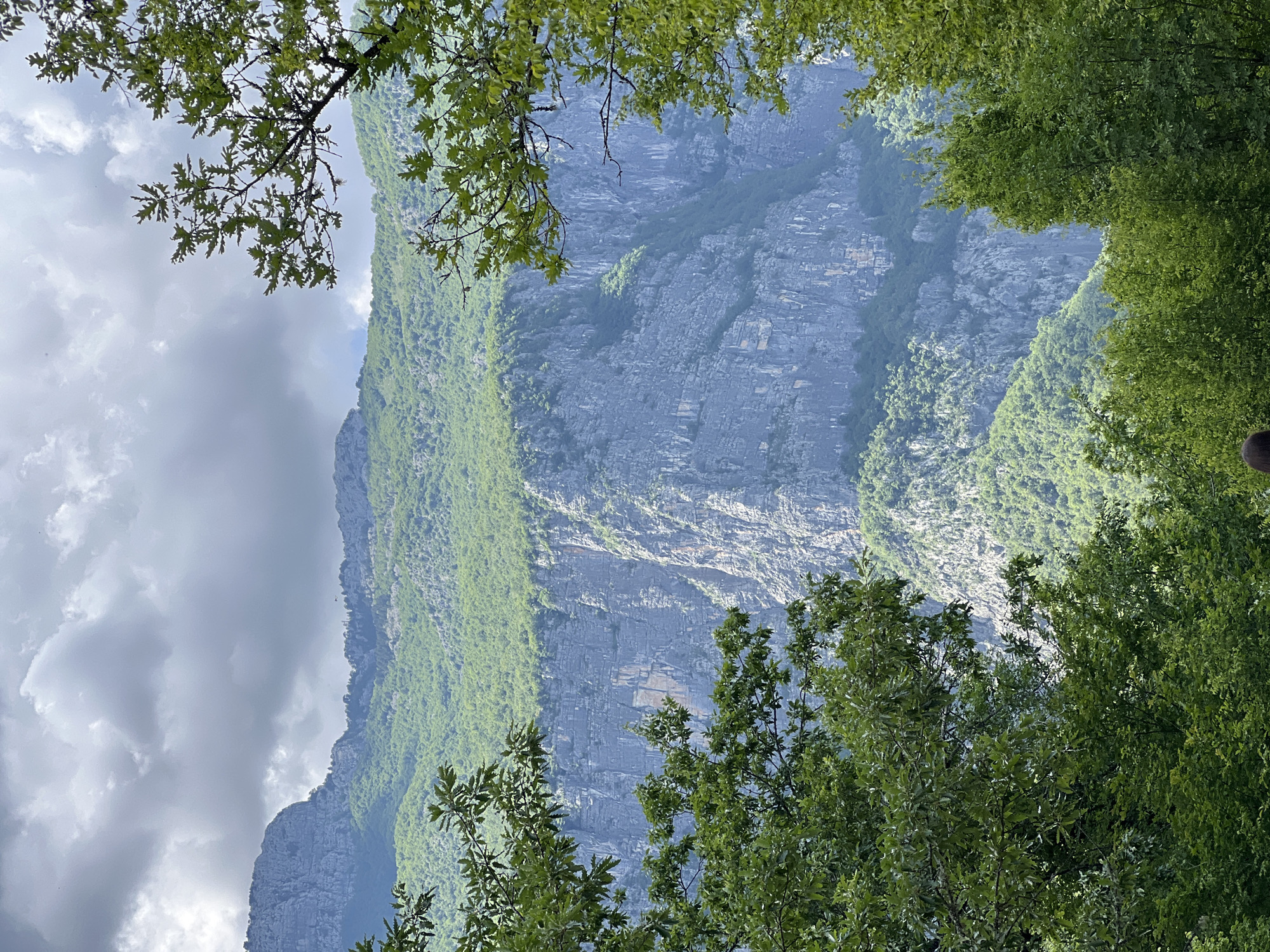 The image depicts a mountain face in Mrtvo Duboko, Montenegro. The mountain features gray rock formations with green vegetation clinging to its slopes. The sky above is partially obscured by clouds on the left side of the frame. Tree branches frame the view at the top and bottom of the image, with lush green foliage visible.