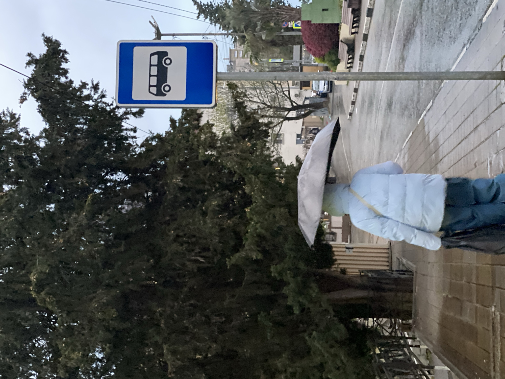 A rainy day in Sochi, Russia. An individual wearing a light blue puffy coat and dark pants holds a grey umbrella while walking along a sidewalk next to a street. A bus stop sign is mounted on a pole to the left, partially obscured by a large evergreen tree. The street appears wet from rain. Buildings and other trees are visible in the background.