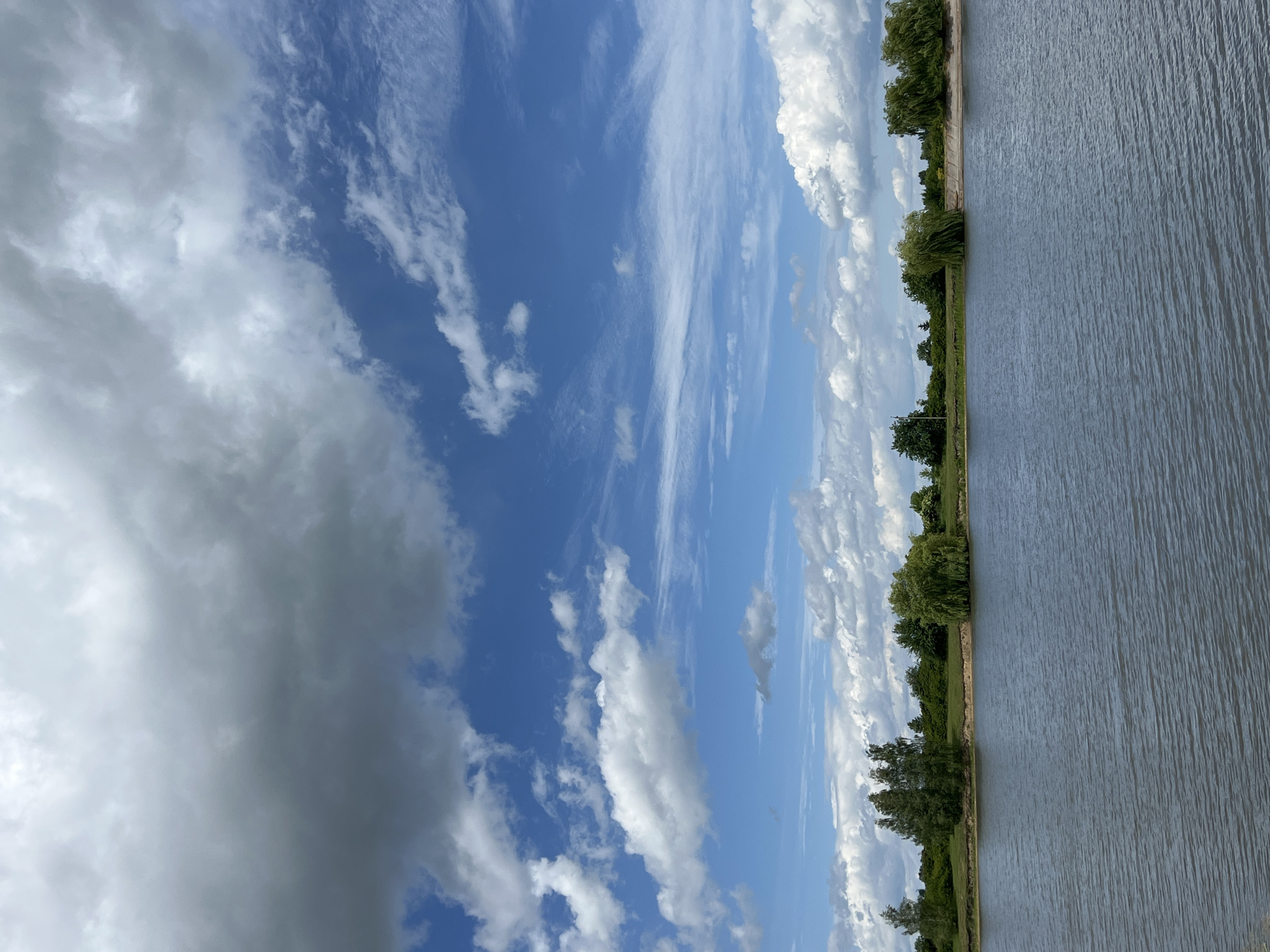 This is a vertical, eye-level photograph of a body of water and a treeline under a cloudy sky. The water occupies the lower half of the frame and is a dark gray-blue with subtle ripples. The horizon line is slightly below the center of the image, separating the water from the land.
The treeline across the horizon is composed of various green trees, some with full canopies and others that appear more sparse or wispy, suggesting willow trees. Behind the immediate treeline, a strip of green grass and a band of light brown earth are visible.
The upper half of the image is dominated by the sky, which features a mix of white and dark gray clouds against a bright blue background. There are large, puffy white clouds scattered throughout, along with more wispy, cirrus-like clouds streaking across the upper portion of the sky. In the far upper left, a large, dark gray cloud formation suggests heavier cloud cover.
The scene depicts a natural landscape, likely a lake or reservoir, with lush vegetation and a dynamic sky. The photograph appears to have been taken on a partly cloudy day. Based on its description, the location is the city of Borychivka, Ukraine.