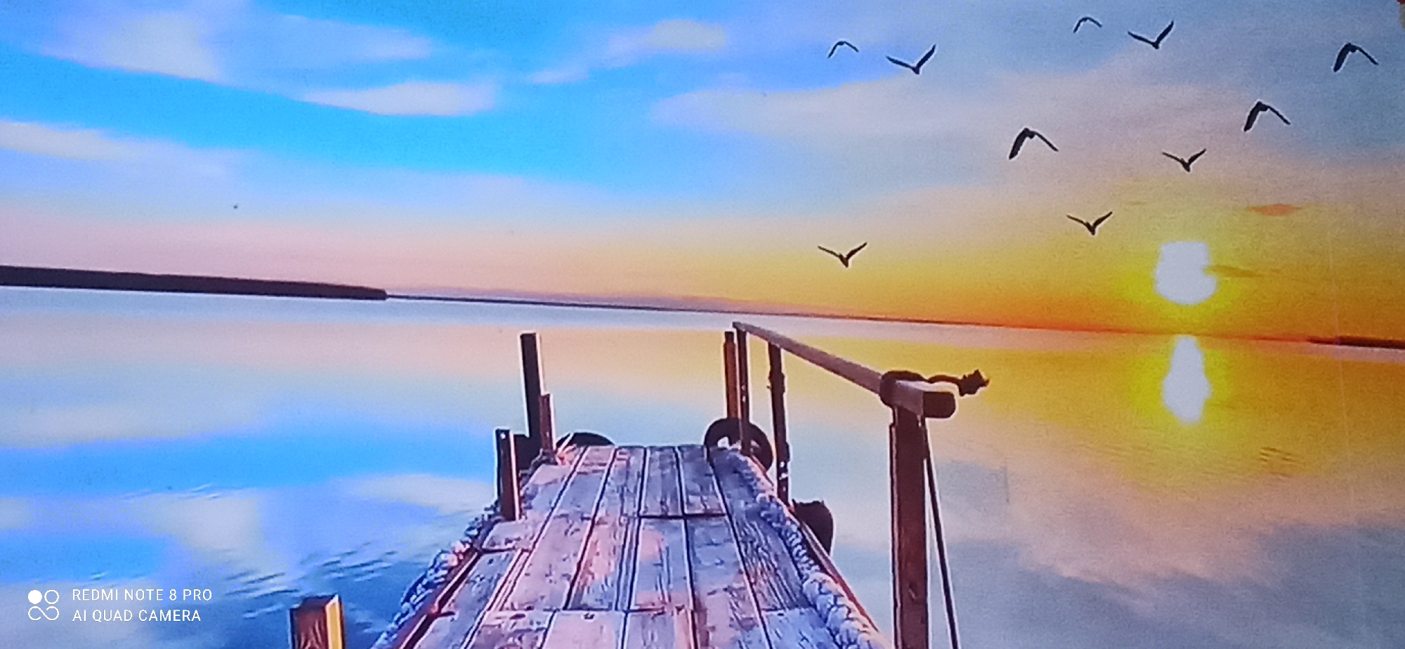 The image shows a serene sunset over a body of water, viewed from a wooden pier. The sky transitions from a soft blue at the top to a vibrant orange and yellow near the horizon, where the sun is setting. Several birds are silhouetted against the colorful sky, appearing to fly in formation. The water reflects the sky and the sun, creating a shimmering effect. The pier, made of weathered wooden planks, extends into the water, with rustic wooden posts and a railing. The overall scene evokes a sense of tranquility and natural beauty. The image is a photograph captured by a Redmi Note 8 Pro AI Quad Camera. The location provided is Sedati Agung, Indonesia.