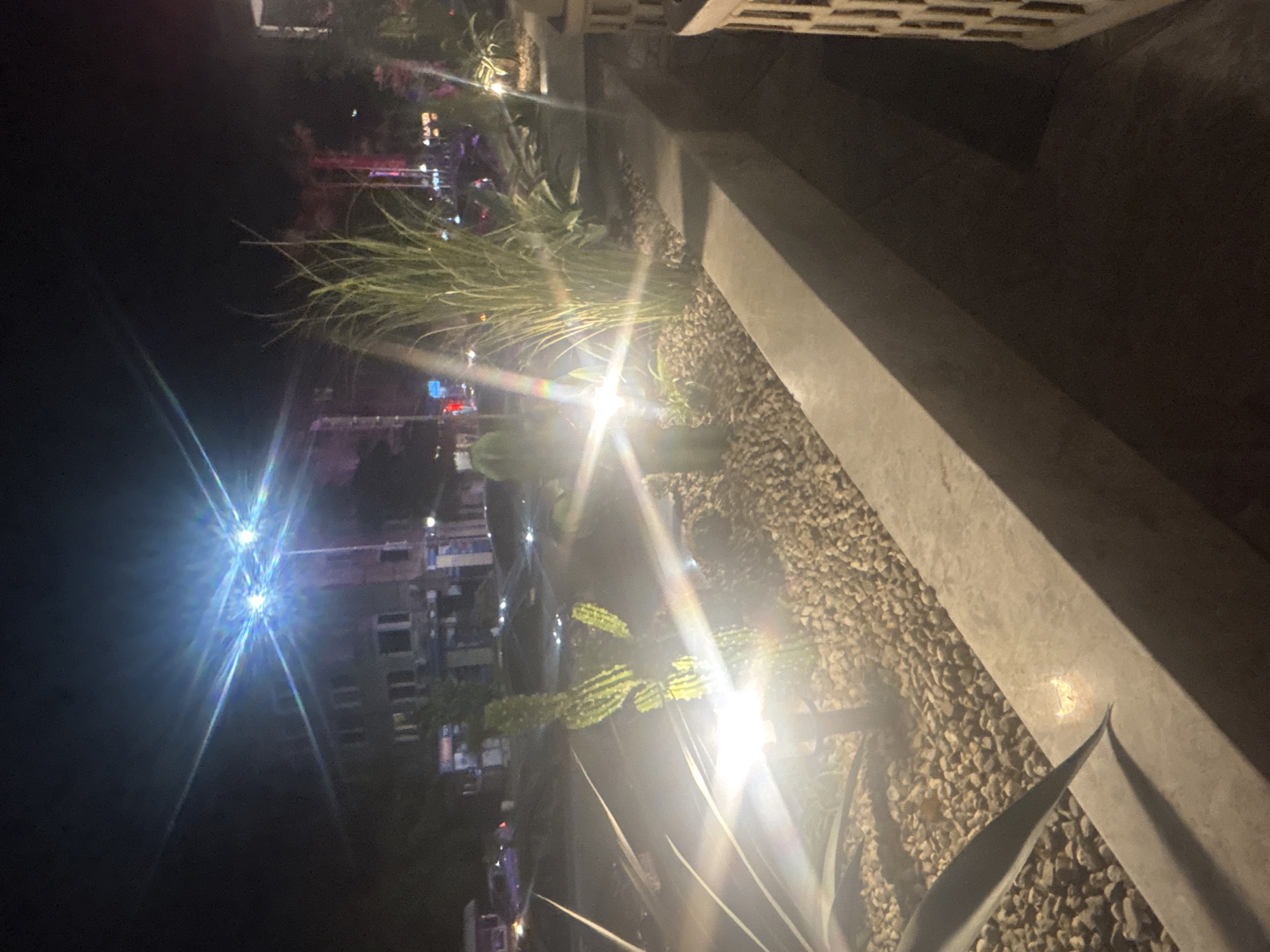 The image depicts a nighttime scene in Plovdiv, Bulgaria. A stone planter box with small gravel fill is visible, with plants growing from it. In the background, city lights and building structures are seen, indicating an urban setting. The image is taken at night, with bright light sources causing glare.