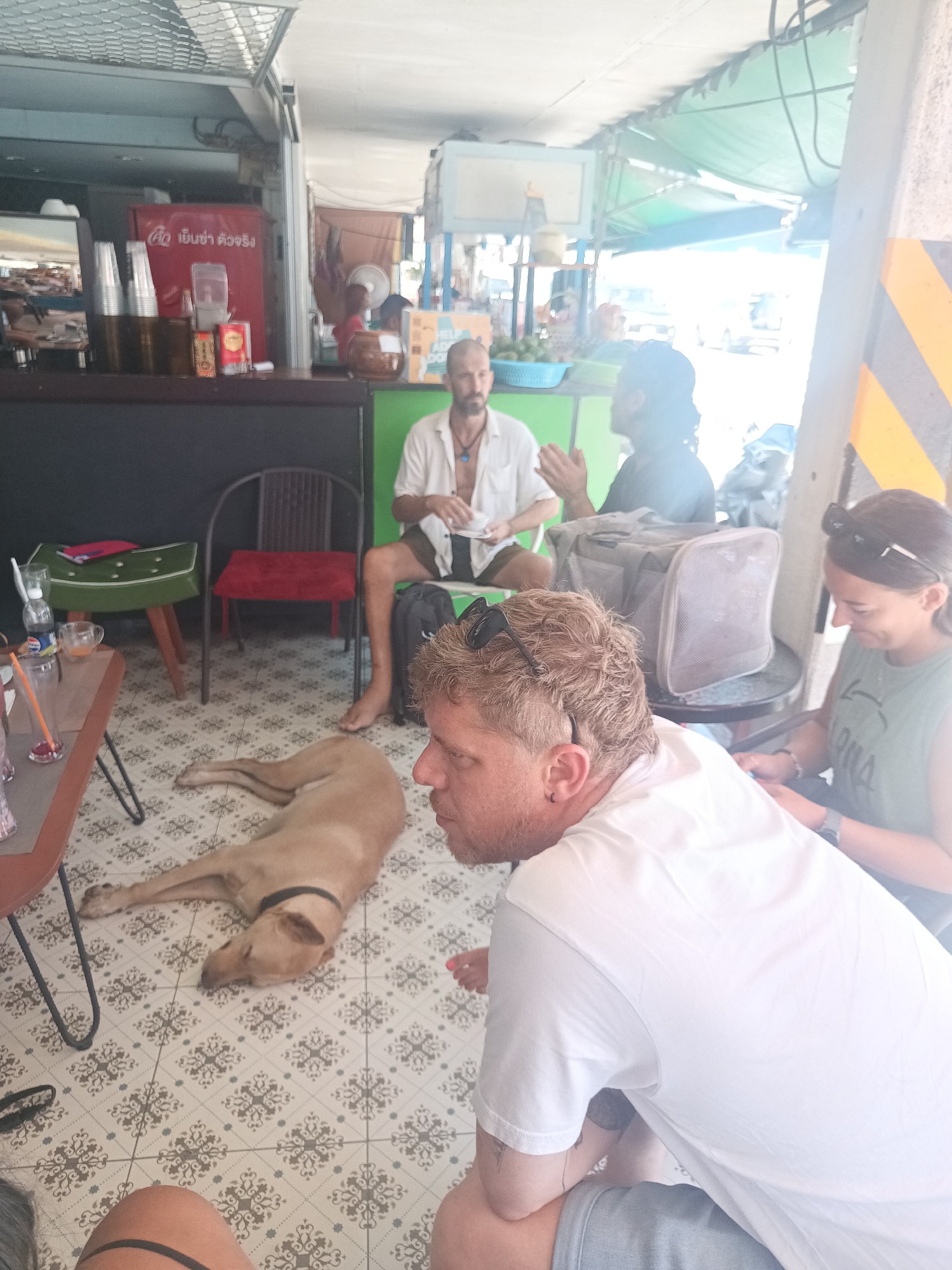 The photo captures a candid moment inside an open-air cafe in ตำบลเกาะพะงัน, Thailand. A tan-colored dog is lying on the patterned tile floor. A man wearing a white t-shirt and sunglasses perched on his head is facing right, seemingly engaged in conversation. Beside him, a woman with sunglasses on her head sits facing right, looking at her phone. Behind them, on a green wall, a man with a white shirt, tan shorts, and barefoot, is sitting and talking to another man wearing a black shirt. An indoor/outdoor setup includes a counter with a Coca-Cola fridge and other drinks behind them. Light streams in from the open side of the cafe, and outside, a road with vehicles can be seen.