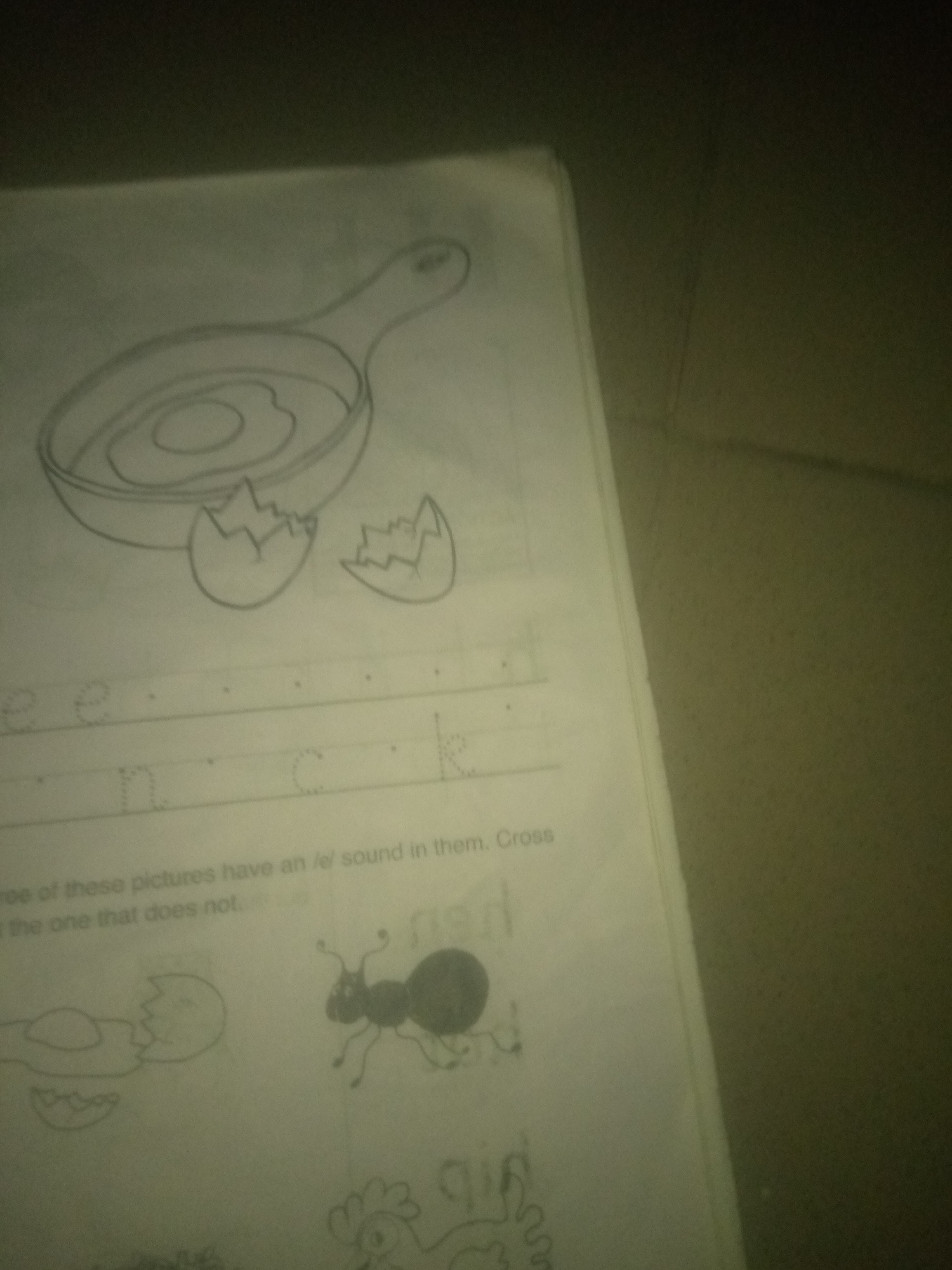 The image shows a worksheet with drawings of an egg in a frying pan, an ant, and a chicken. There are also dotted lines for tracing letters and some text that appears to be an instruction. The worksheet is on a surface that appears to be a table or desk, and the lighting suggests an indoor environment. The location in Jauro Yinu, Nigeria, cannot be determined from the image.
