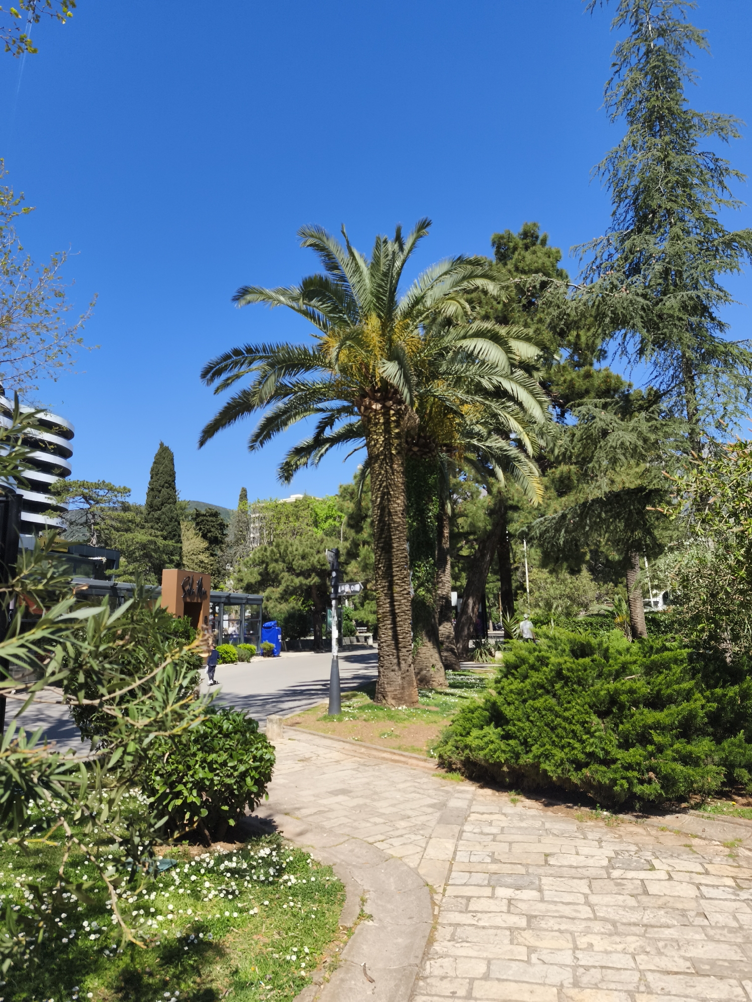 The image depicts a paved pathway curving through a park or green space under a clear blue sky. A tall palm tree stands prominently along the path, surrounded by various other trees and greenery, including bushes and small flowering plants dotting the grass. In the background, a modern building with curved architecture is visible. People can be seen walking along the path in the distance. The scene suggests a serene urban environment.
