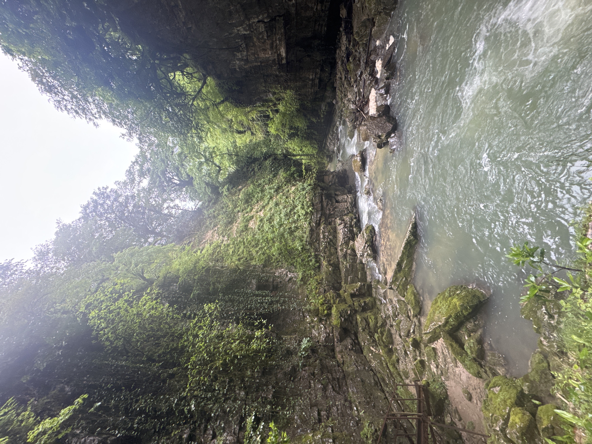 The image captures a river flowing through a narrow gorge in Tsabal, Abkhazia. The rocky walls of the gorge are covered in lush green vegetation and moss. The water is turbid, with visible currents and small rapids. On the right side of the image, a partial wooden railing is visible near the bottom corner, suggesting a pathway. The view looks upward, with treetops silhouetted against a bright sky.