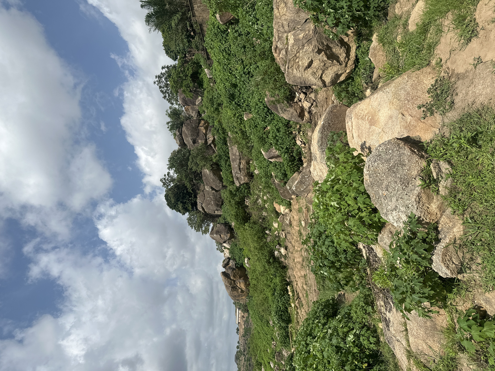 The image depicts a natural rocky landscape in Jos, Nigeria, with lush green vegetation growing amongst large boulders. The scene is angled, suggesting a view from a hillside looking upwards and to the right, or downwards and to the left. The sky above is a mix of blue and white clouds, indicating daytime with possibly scattered showers.
The primary subjects are the rocks and the dense greenery that covers the terrain. Scattered trees are also visible, particularly towards the top of the frame. The rocks vary in size and shape, some appearing smooth and rounded, while others are rough and angular. They are interspersed with vibrant green bushes and grass, creating a contrast between the ruggedness of the stone and the softness of the plant life.
There are no people or specific objects clearly discernible in the foreground or mid-ground. In the far distance, a hint of man-made structures can be seen, suggesting a human settlement or historical site at the foot of the hill, but these are too indistinct to identify.
The activity taking place is simply the passive existence of the natural environment. The image captures a moment of stillness in a natural setting. The time of day is clearly daytime, given the bright lighting and the appearance of the sky. The weather appears to be partly cloudy. The location is identified as Jos, Nigeria, and the landscape with its specific rock formations and vegetation is characteristic of the region. There is no visible text within the image.