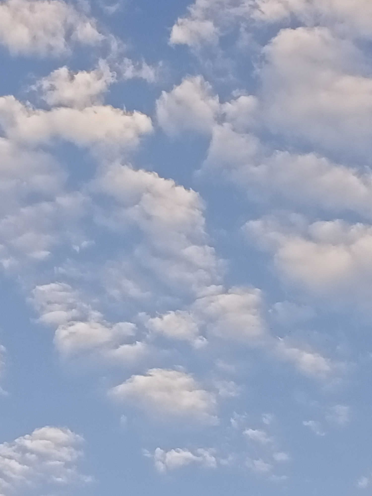 The image depicts a clear blue sky with scattered cumulus clouds. The clouds are white and fluffy, with some casting faint shadows, suggesting a bright day. The scene is a wide shot of the sky, with no visible ground features or structures. There are no people, animals, or objects present in the image. The environmental conditions suggest fair weather. The image does not contain any specific visual cues that would indicate its location in Sokuluk, Kyrgyzstan.
