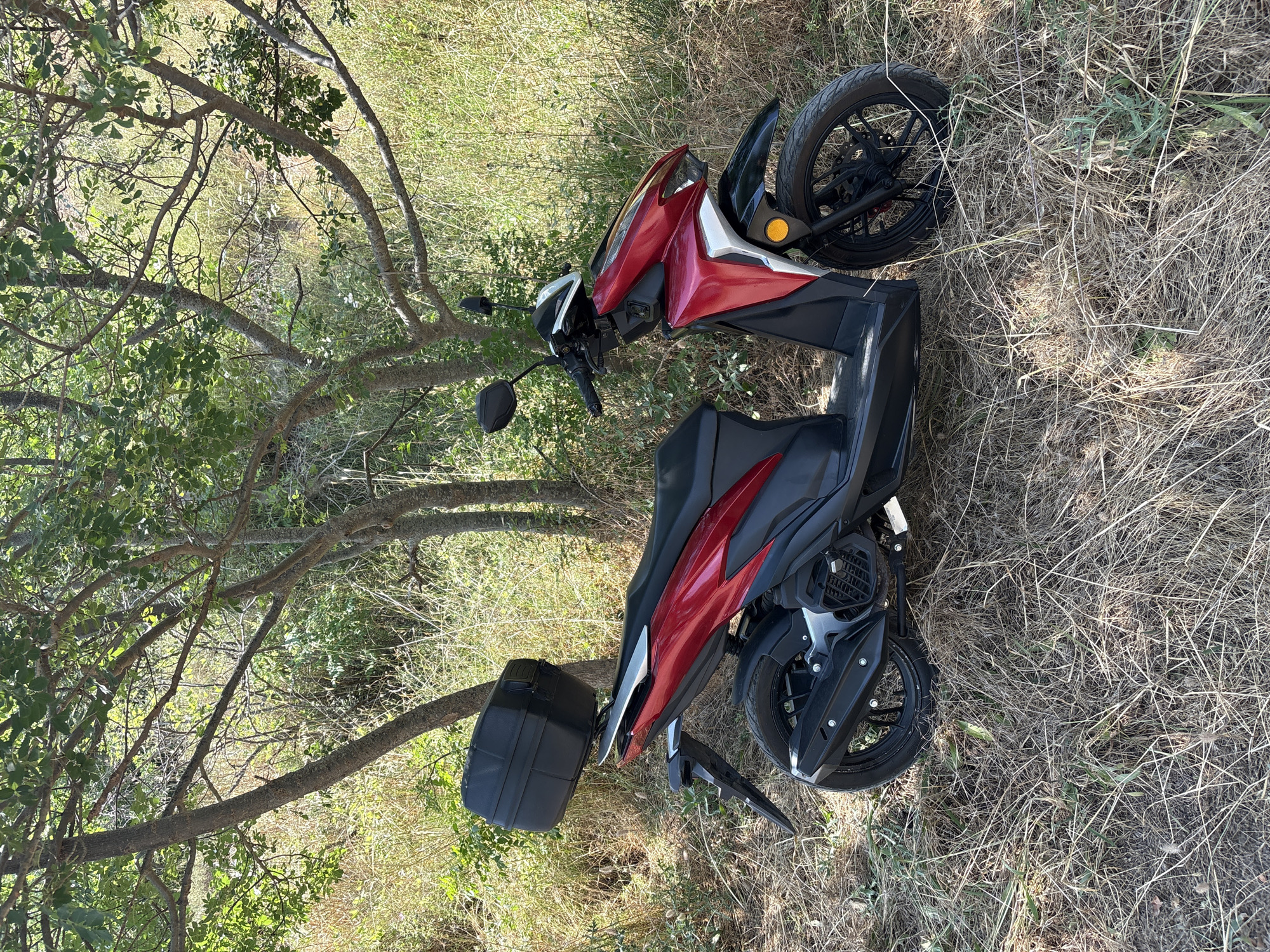 A red and black scooter is parked on dry grass beneath trees. The scooter has a black storage box mounted on the rear rack. The background consists of dry vegetation and tree trunks. There are no people visible in the image. The scene appears to be an outdoor, possibly rural or semi-rural, location.