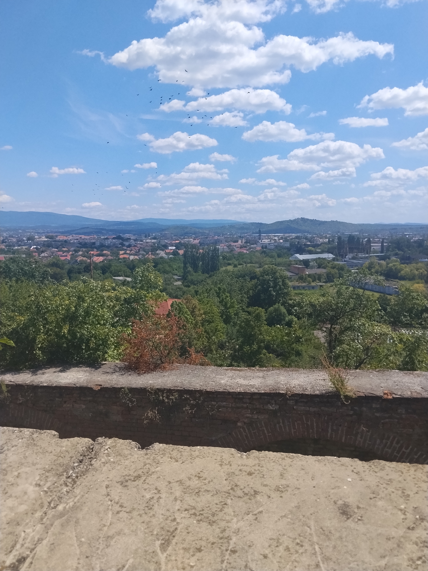 This is a photograph taken from a high vantage point overlooking the city of Mukachevo, Ukraine. In the foreground, there is a weathered, rough-textured concrete surface with some visible cracks. Behind this, a brick wall with a weathered and uneven top edge is visible, partially covered by greenery. An arched opening is present in the wall, revealing brickwork beneath. Beyond the wall, a dense canopy of green trees and some dry, reddish-brown foliage dominates the mid-ground. Further in the distance, the city of Mukachevo is spread out, with numerous buildings featuring red-tiled roofs. Beyond the city, rolling hills form the horizon. The sky is a bright blue with scattered white, fluffy clouds. Several small, dark birds are visible flying in the sky. The scene depicts a panoramic view of a city nestled among natural landscapes on a clear day.