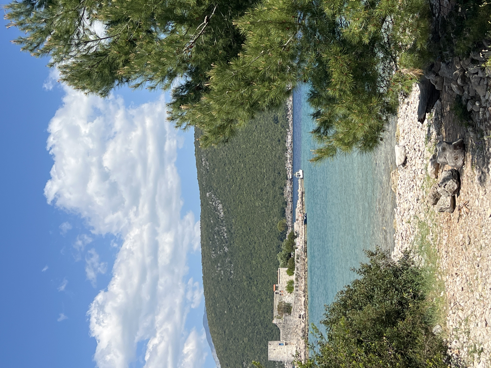 The image depicts a coastal scene in Luštica, Montenegro. A rocky shoreline leads to a turquoise sea. A forested hillside rises behind the sea. A section of a stone structure, potentially a fort or old wall, is visible near the water. The sky is blue with scattered white clouds. A pine tree branch frames the upper portion of the scene, and bushes grow along the lower edge.