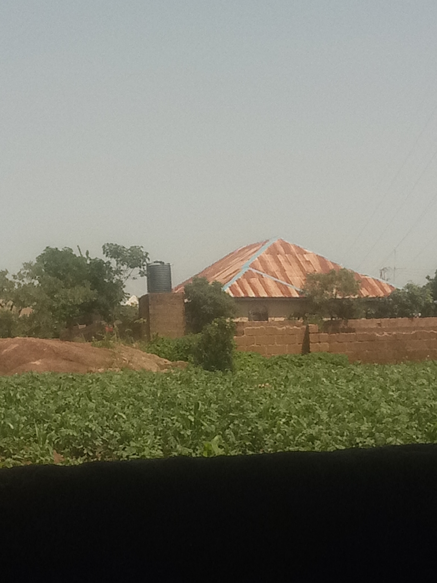 A rural scene depicts a house with a corrugated metal roof, a water tank on a brick platform, and a low brick wall. In the foreground, lush green crops fill the lower half of the image, with a mound of reddish-brown earth behind them. Trees are scattered throughout the scene, and the sky is a hazy, light blue. The scene appears to be located in a rural area, possibly a village, given the simple construction of the house and the presence of agricultural land.