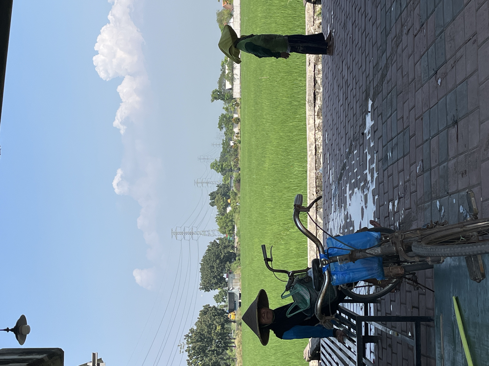 This image depicts a scene in Wunut, Indonesia, with a bright, clear blue sky dotted with fluffy white clouds. In the foreground, a paved area with reddish-brown brickwork is visible, with some water stains suggesting recent rain or cleaning. To the left, a person wearing a conical hat and dark clothing is seated on a metal bench. A bicycle with a blue bag attached to the handlebars is positioned in front of the bench. To the right, another individual, also wearing a conical hat and green clothing, stands facing away from the camera. Behind them, a vast, vibrant green rice paddy stretches towards the horizon. In the middle ground, trees and some structures are visible, and power lines crisscross the sky, supported by tall metal pylons. The overall atmosphere is bright and rural.