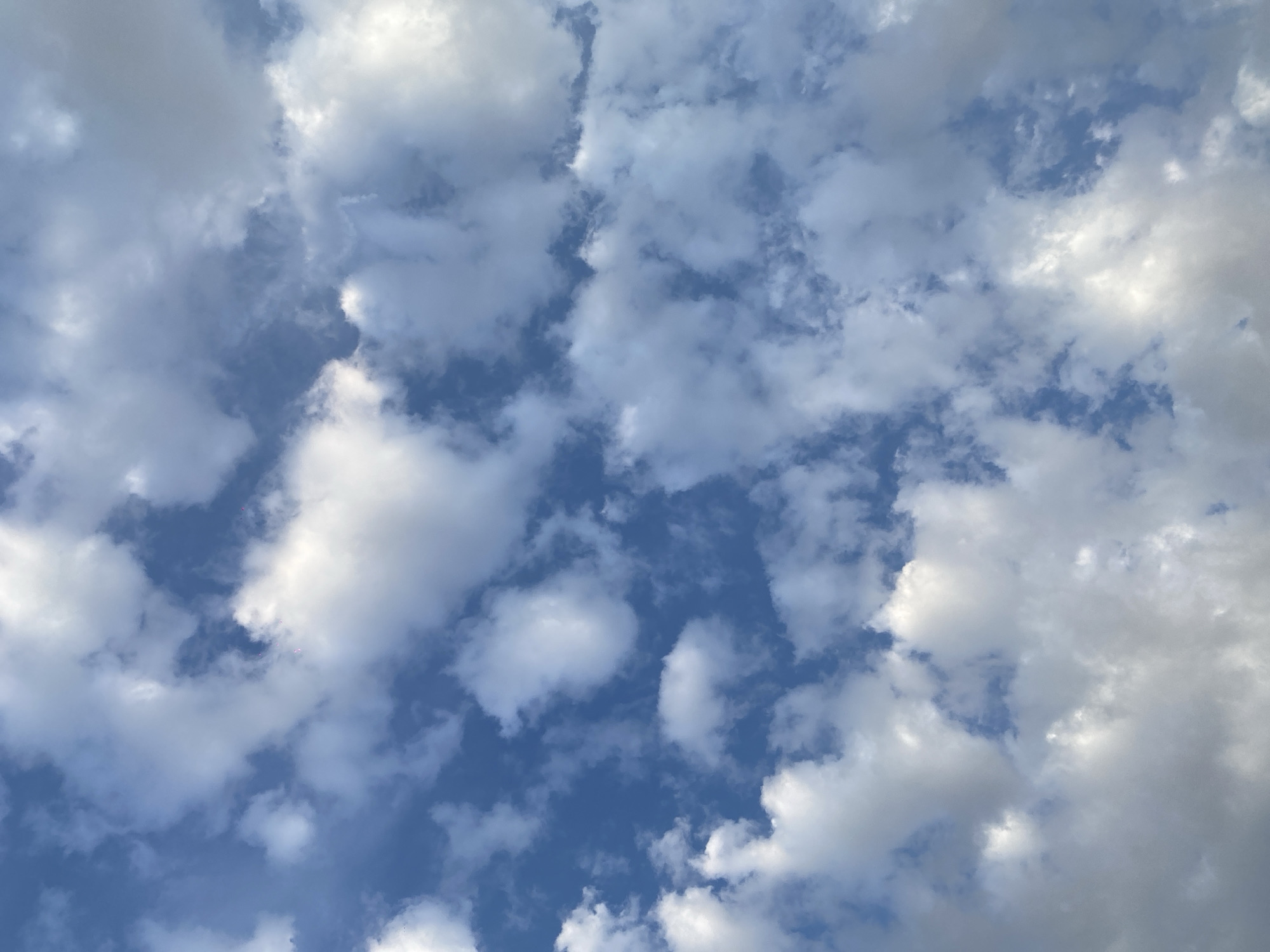 The image is a view of a blue sky filled with numerous white clouds. There is no specific location in the city of Unknown, Unknown provided in the image. There are no people, subjects, objects, actions, or interactions visible in the scene other than the clouds and sky. The environment consists of a blue sky backdrop populated with white, fluffy clouds.