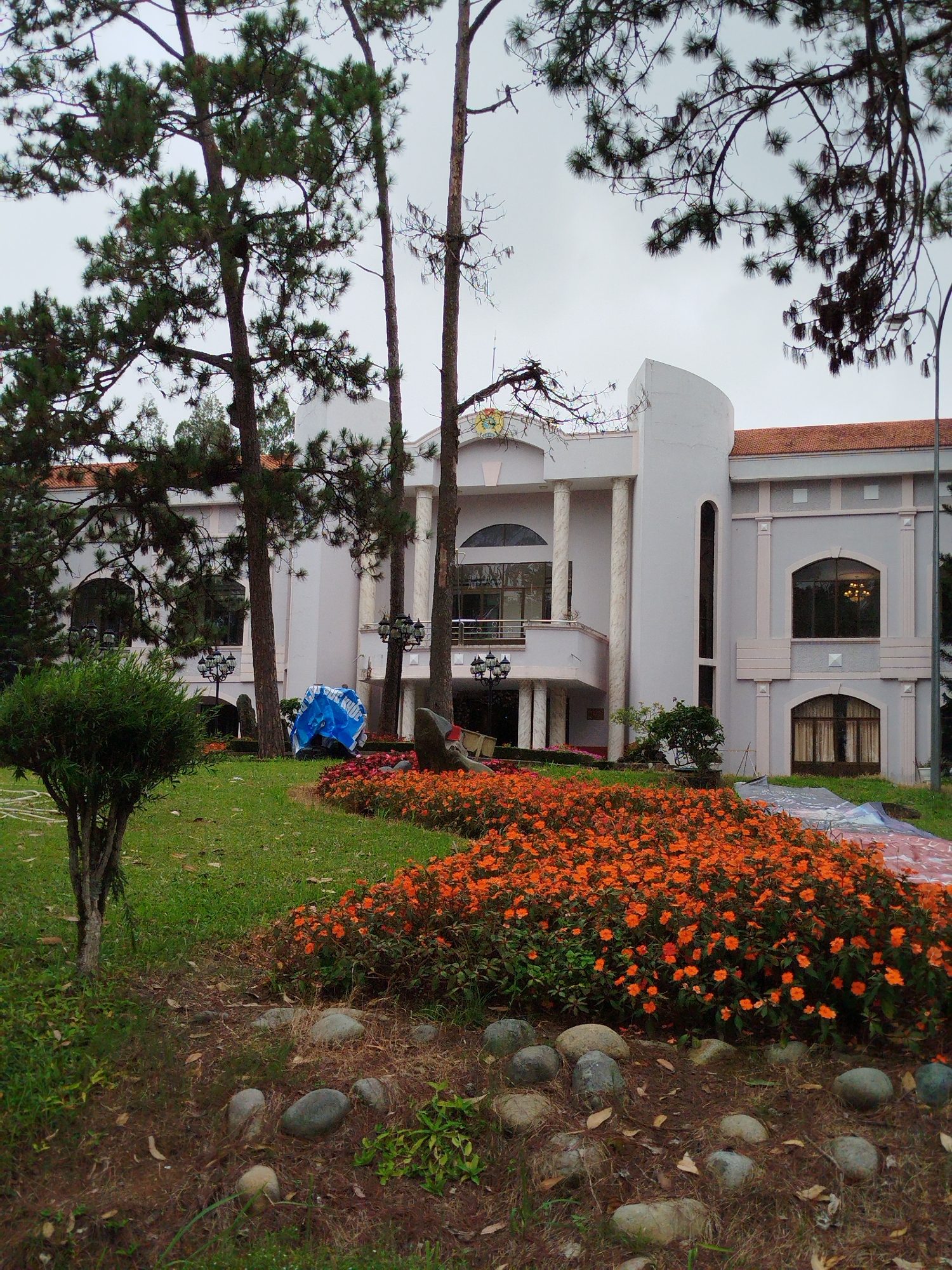 The image depicts the facade of a building in Da Lat, Vietnam, with a foreground of a well-maintained garden. The building itself is light-colored, possibly white or pale grey, and features classical architectural elements such as columns and arched windows. A prominent curved section is visible on the upper left side of the building, topped with a tiled roof. Several tall pine trees with dense green foliage are scattered throughout the scene, some partially obscuring the building. In the garden, a vibrant bed of small, bright orange flowers forms a dominant feature in the lower half of the image. These flowers are densely packed and appear to be in full bloom. Scattered amongst the flowers and on the ground in the foreground are smooth, grey rocks of various sizes. A small, leafy green bush is also visible on the left side of the garden. A blue tarp is partially visible behind the bush, near the building entrance. The sky is overcast, suggesting a cloudy day. The overall impression is that of a tranquil, manicured outdoor space attached to a substantial building, likely in a resort or public facility setting in Da Lat.