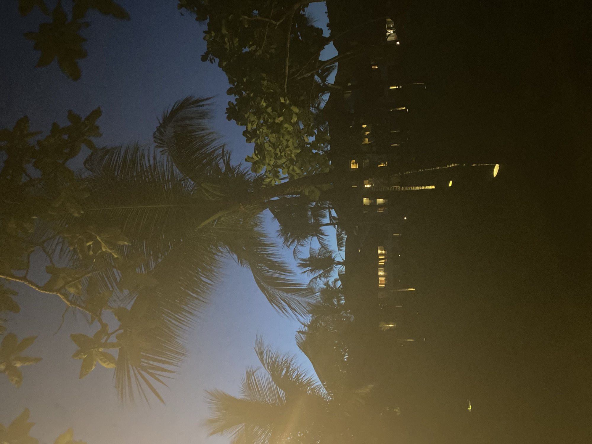 The image captures a nighttime scene in Kuta Selatan, Indonesia, featuring silhouetted palm trees against a dusk sky transitioning from blue to dark. To the right, a dark building or structure with lit windows is visible, possibly a hotel or residence. The general environment suggests a tropical, coastal area. The overall tone is serene and nocturnal.