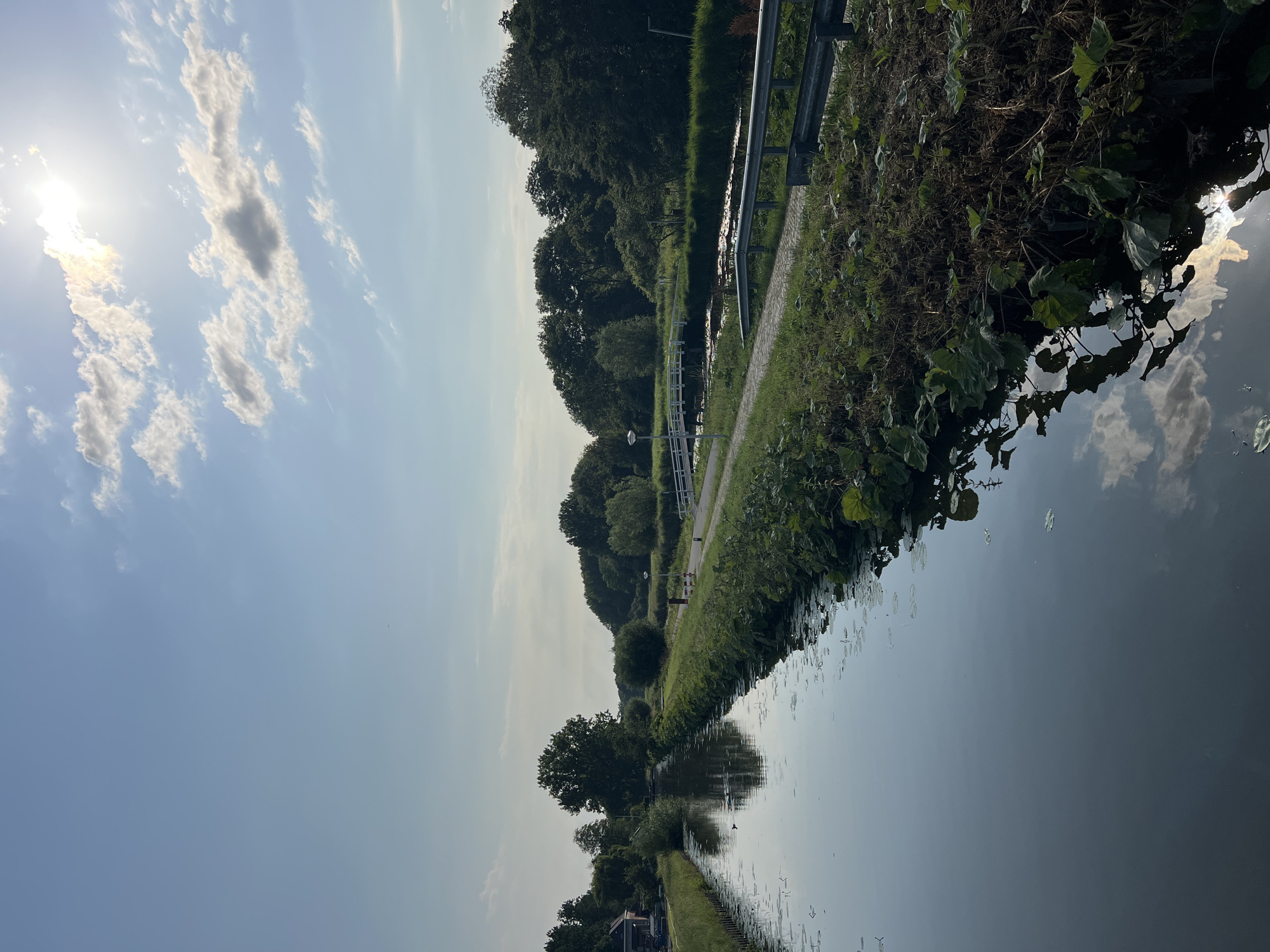 The image depicts a canal on a sunny day, likely in Delft, Netherlands, given the architectural style of the bridge and surrounding greenery. The canal runs from the foreground into the distance, bordered by a grassy embankment on the right and a path and more trees on the left. A white pedestrian bridge arches over the canal in the mid-ground, and a few scattered clouds dot the bright blue sky. The sun is prominently featured in the upper right corner, its rays illuminating the scene and creating reflections on the water's surface. The water itself is calm and reflects the sky, trees, and bridge. The embankment on the right is densely vegetated with various plants and some dry brush. A metal railing runs along the edge of the path. On the left side of the canal, some houses and trees are visible. There are no people clearly visible in the image, but there are a few scattered water plants in the canal and a lone bird swimming on the water in the mid-left.