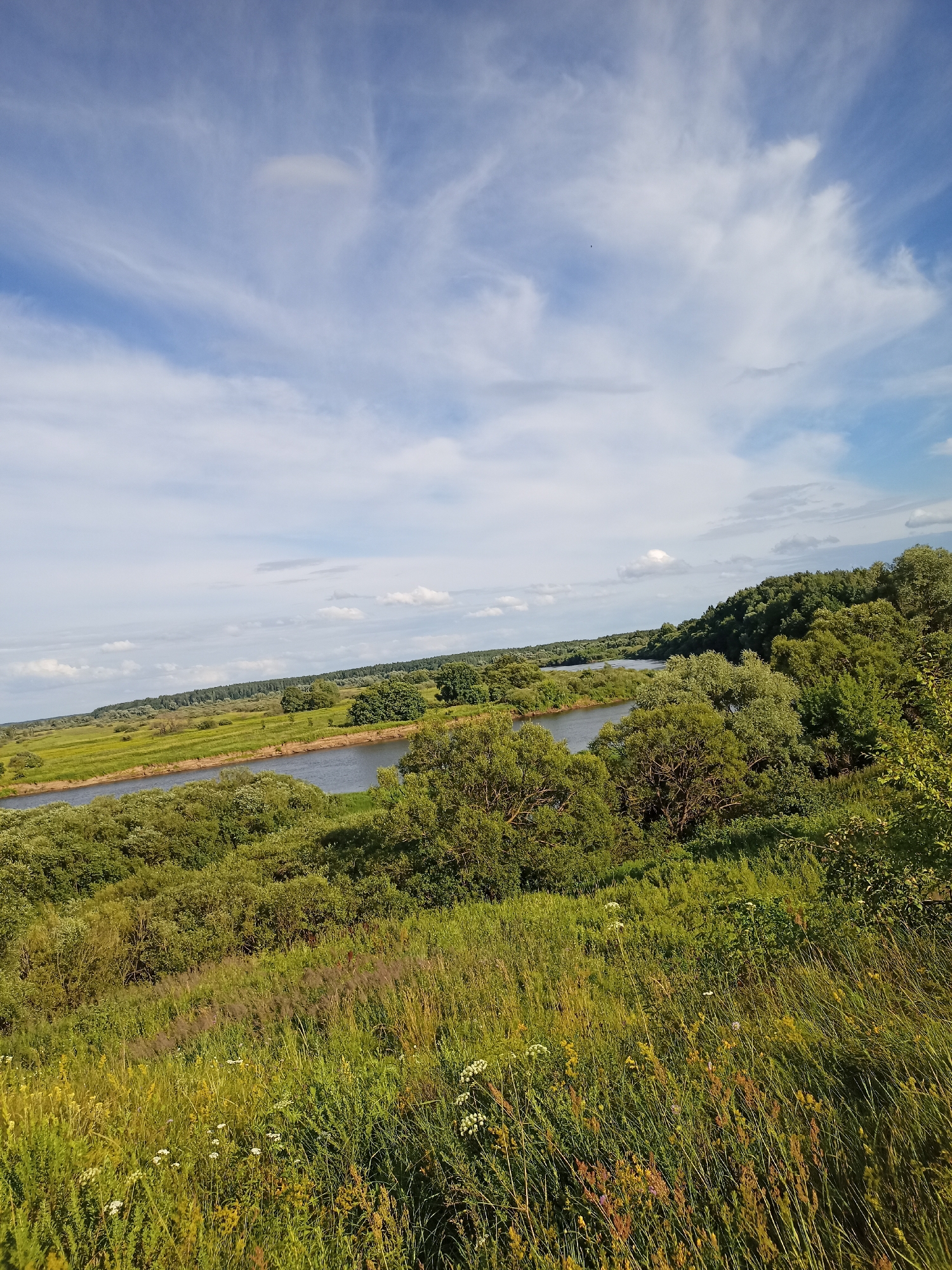This is a landscape photograph taken from an elevated viewpoint, looking down and across a wide river. The river is dark and reflects the sky. On the far bank, a dense forest with a straight treeline stretches across the horizon. Closer to the foreground, the landscape is characterized by rolling green hills and meadows, dotted with clusters of trees and bushes. The immediate foreground is a grassy slope covered in tall, wild grasses and some wildflowers, with a mix of green, yellow, and brown hues.
The sky is a bright blue with scattered white, wispy clouds that create a dynamic and airy feel. The lighting suggests it is a sunny day, likely in the late morning or early afternoon, given the bright illumination and clear visibility. The scene is tranquil and natural, conveying a sense of peace and the beauty of rural nature. There are no people or man-made objects visible in the frame. The location is identified as a rural area in Belarus.