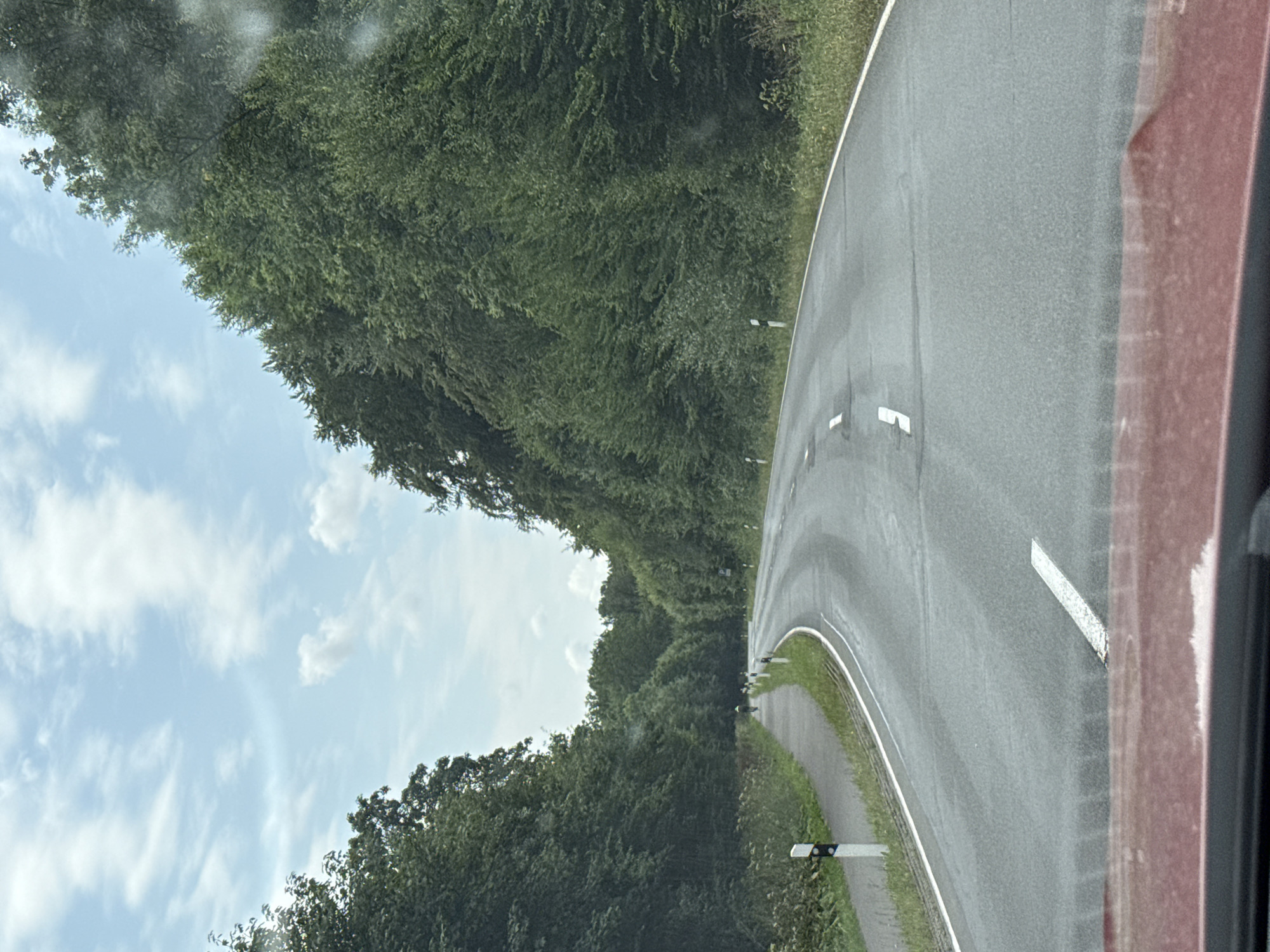 The image shows a winding asphalt road in a densely wooded area, likely in the Harz region of Germany, given the context of the location being in Landkreis Göttingen. The road is bordered on the left by a paved bicycle path, which is separated from the road by a grassy verge with white and black striped markers. A few figures on bicycles are visible on the path in the distance. The road itself has white lane markings. On the right side of the road, the dense green foliage of trees forms a thick wall. The sky is partly cloudy with a pale blue hue. The perspective suggests the photo was taken from a vehicle moving along the road, with the hood of a red car visible at the bottom of the frame. The overall scene depicts a scenic, rural road through a forest.