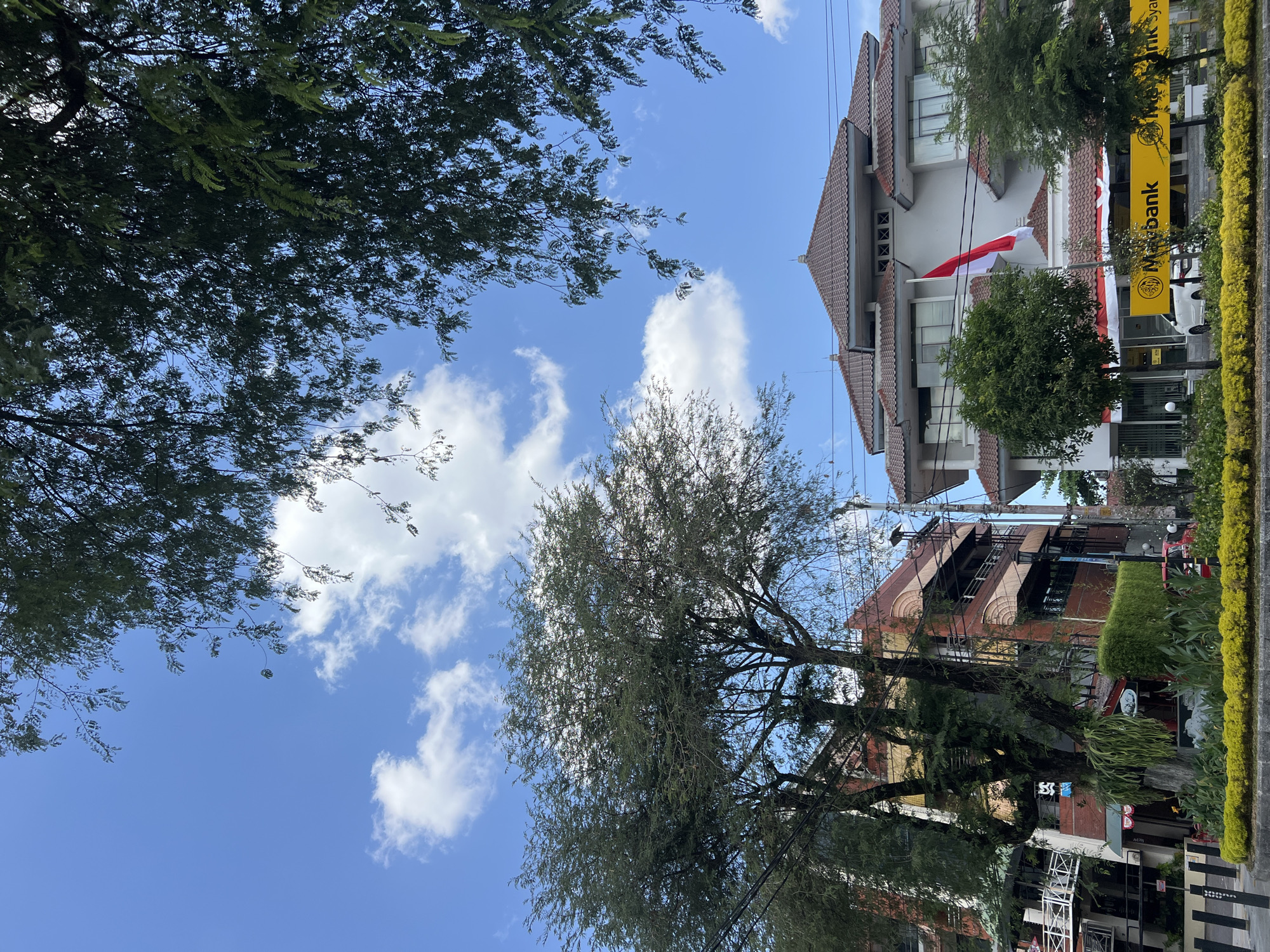 This image depicts a bright, sunny day in Yogyakarta, Indonesia, with a clear blue sky dotted with fluffy white clouds. The foreground is dominated by lush green trees with their branches reaching towards the sky, partially obscuring the view of the buildings behind.
On the right side of the image, a modern building with a red-tiled roof stands prominently. An Indonesian flag, red and white, is displayed on a flagpole on the building's facade. A yellow banner with the text "Maybank Syariah" is visible on the ground floor, indicating a Maybank Syariah branch. A white car is parked in front of the bank.
To the left, another building with a brick facade and multiple balconies is visible, partially covered by trees. The architecture suggests a mix of traditional and modern styles. The street in front of the buildings features a yellow and green landscaped median with manicured hedges and low-lying yellow flowers. Black bollards line the side of the road. Power lines are visible strung between poles, typical of urban environments. The overall scene conveys a sense of a bustling urban setting within Yogyakarta, likely a commercial or business district, under a pleasant sky.