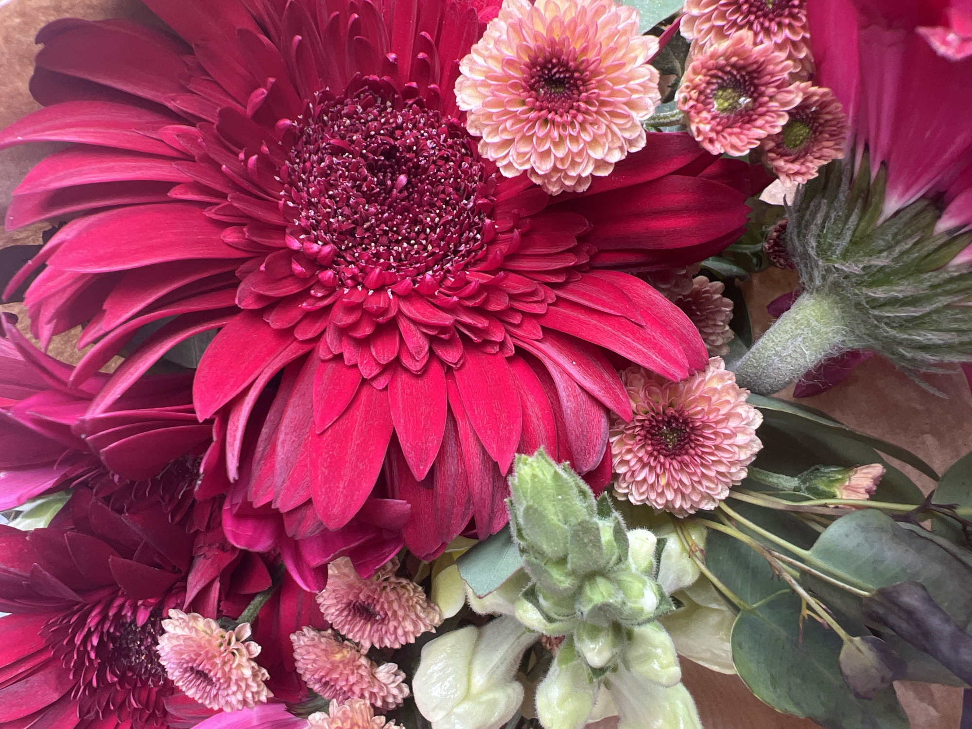 This is a close-up, overhead, still photograph of a floral arrangement. The arrangement features several large, vibrant fuchsia-colored gerbera daisies with dark red centers. Interspersed among the gerberas are smaller, fluffy pom-pom-like flowers in shades of pale pink and peachy orange. Green foliage and stems are visible throughout the arrangement, as well as some pale green bud-like elements that appear to be snapdragons. The flowers are arranged in a bouquet, likely for display or gifting. There are no people visible in the image, and no discernible environmental context that would place it in Hadera, Israel, or any specific city. The background is a warm, neutral tone, possibly paper or fabric.