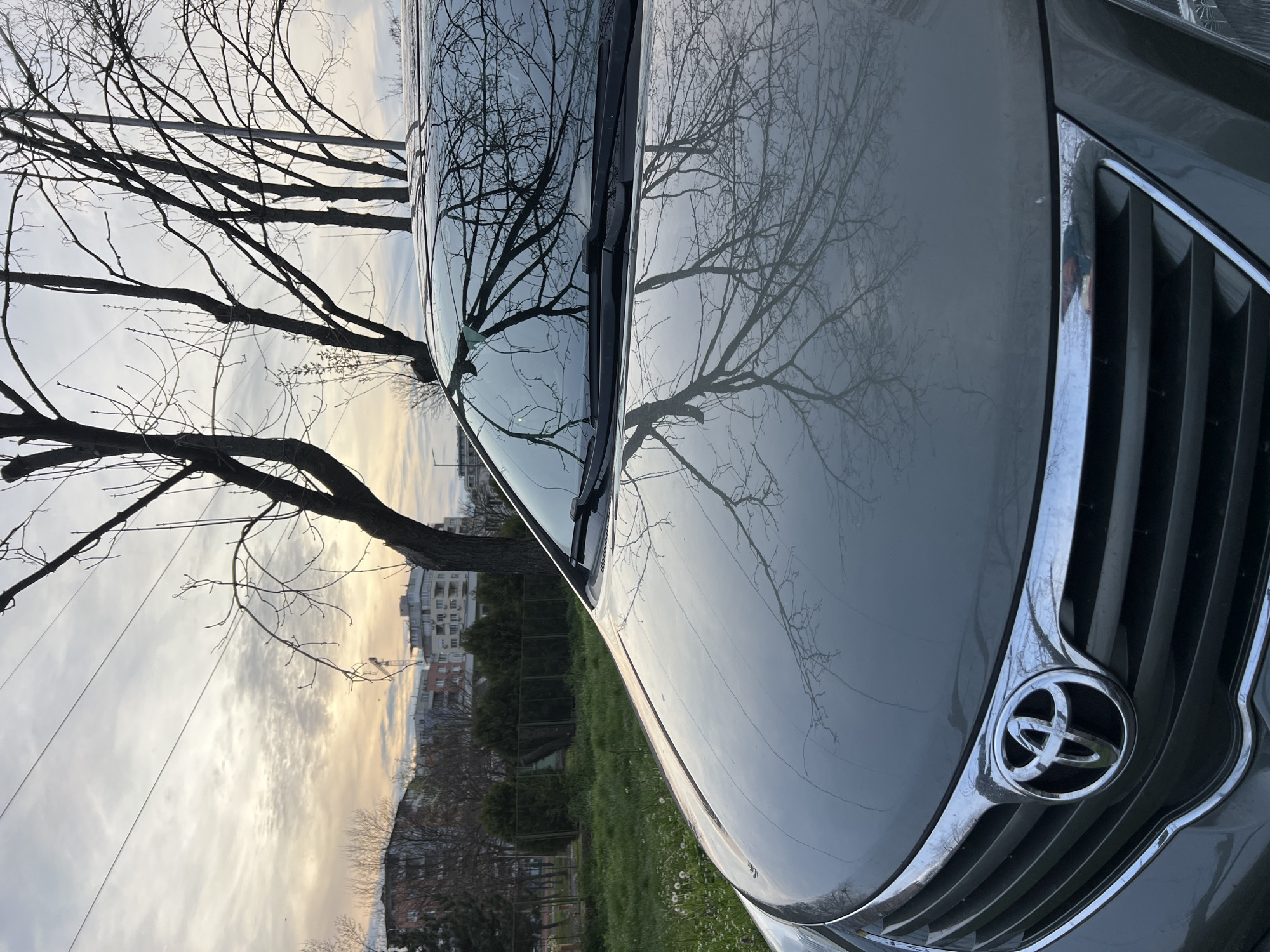 The image shows the front of a gray Toyota car parked on a grassy area. The car's hood and windshield reflect the bare branches of trees and the sky. In the background, there are buildings, which, based on the architectural style and overall scene, suggest this could be a park setting in the city of Burgas, Bulgaria. There are trees both bare-branched and those beginning to bud, indicating the transitional season between winter and spring. The sky is overcast with colors hinting towards sunrise or sunset. The car's grill and Toyota emblem are visible.