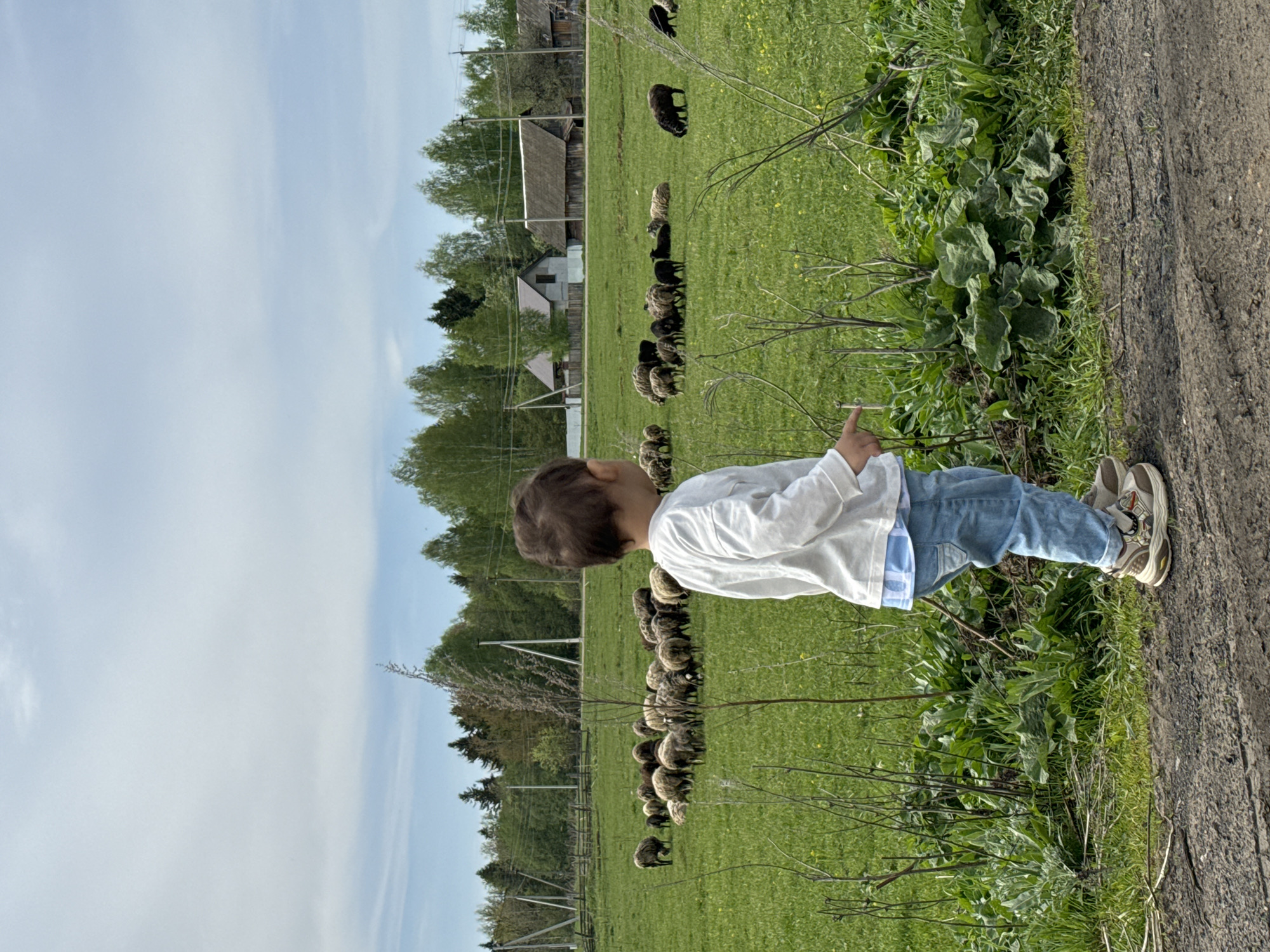 The image shows a young child standing near a path at Большой Букор, Russia. The child is looking towards a field where a flock of sheep is grazing. In the background are houses surrounded by trees under a partly cloudy sky.