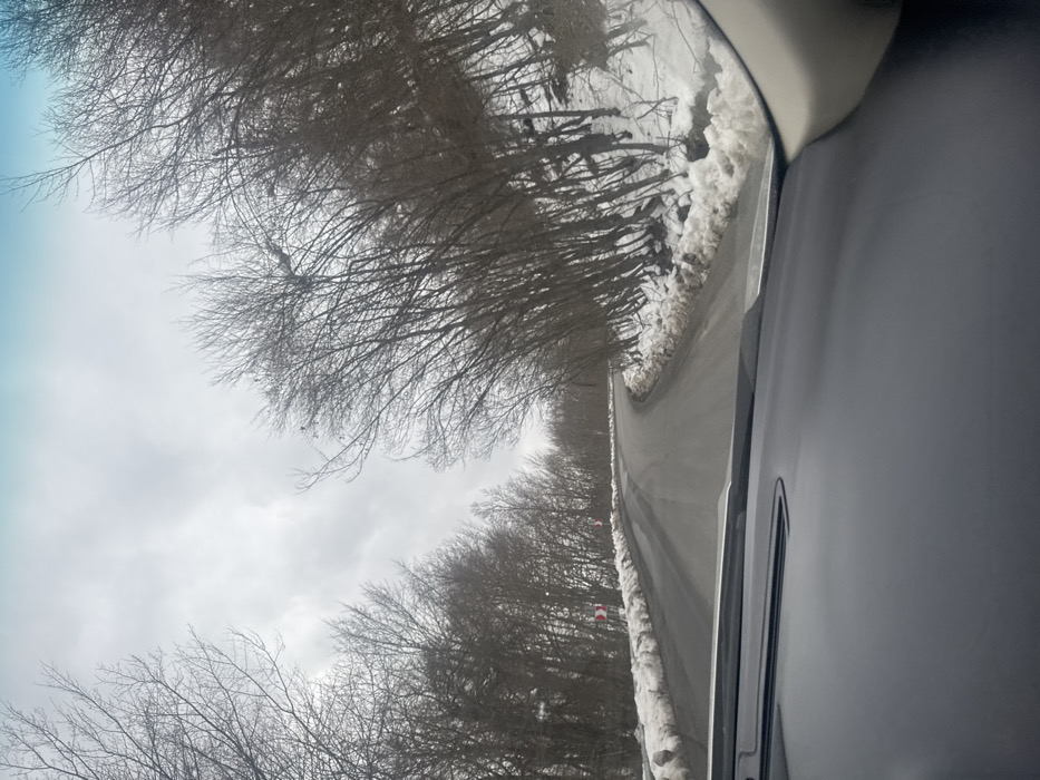 The image presents a forward-facing view from inside a vehicle traversing a two-lane asphalt road in Tskhvarichamia, Georgia. The road, which appears damp and free of snow, curves gently to the right. Dense snowbanks line both shoulders of the road. On either side, a thick forest of bare deciduous trees, devoid of foliage, rises. Two red-and-white chevron curve signs are positioned on the left side of the road, indicating the impending turn. The sky is uniformly overcast with gray clouds. The vehicle's dark-colored dashboard occupies the lower portion of the frame. No individuals or active interactions are visible in the scene.