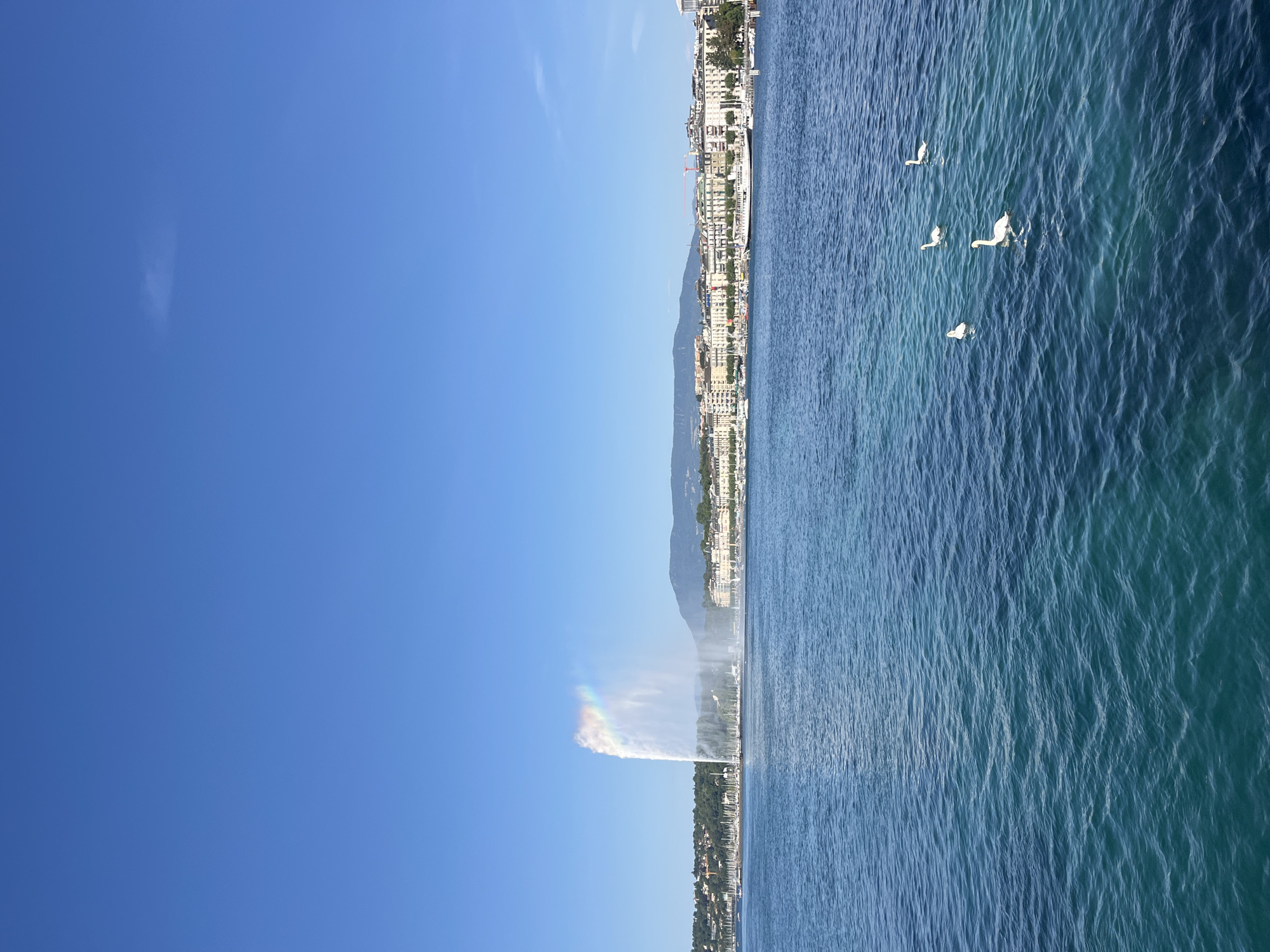 This image captures a serene view of Lake Geneva, showcasing the iconic Jet d'Eau, a powerful water jet fountain, prominently displayed against a clear blue sky. The fountain, a landmark of Geneva, Switzerland, shoots water high into the air, creating a visible rainbow due to the sunlight. In the background, the cityscape of Geneva unfolds, with buildings lining the shore and hills forming a distant backdrop. Several white swans gracefully swim in the turquoise waters of the lake, adding a touch of tranquility to the scene. The water's surface exhibits gentle ripples, reflecting the bright daylight. The overall impression is one of a beautiful, sunny day at a picturesque location.