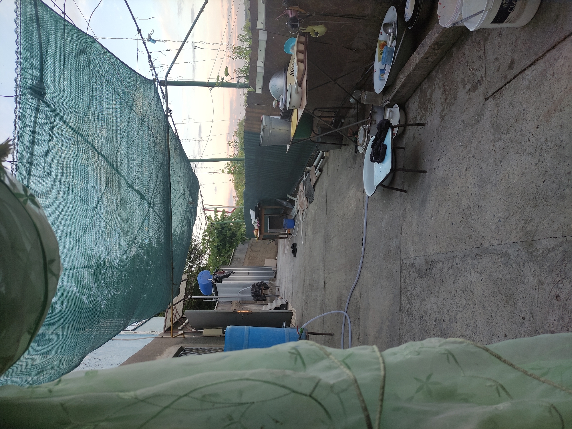 The image depicts an outdoor scene, likely a backyard or courtyard, in Rybnitsa, Moldova. The setting appears somewhat cluttered, with various objects scattered around. Dominating the left side of the frame is a large, green mesh tarp supported by poles, casting a shadow and partially obscuring the view.
Objects visible include a blue plastic barrel, various metal containers, plates, bowls, a sink basin, and what appears to be a hose. There is a table with items on it, including what might be cooking utensils and a pot. In the background, there's a corrugated metal fence and some vegetation. The ground is concrete, with some cracks visible.
The time of day appears to be either early morning or late evening, suggested by the soft, diffused light and the colors in the sky, which show hues of pink and orange. The weather seems calm, with no indication of rain or strong winds.
There is no direct indication of people in the image, though some personal belongings like shoes are present. The overall mood is one of everyday life, possibly a functional outdoor space where work or chores are done. The scene conveys a sense of utility rather than leisure. There is no visible text in the image, except for what might be on a label on one of the buckets, but it is not legible.