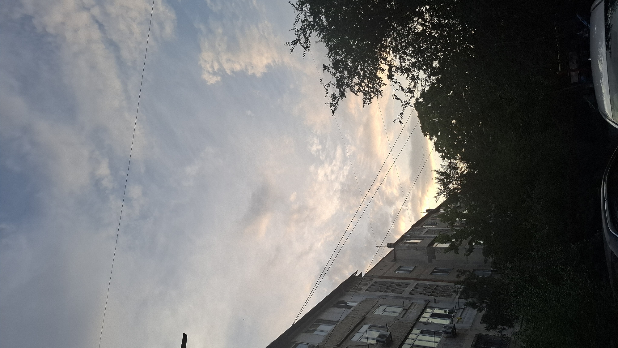 The image captures a street-level view of an apartment building and dense foliage against a clouded sky at dusk. The building, on the left, is multi-storied with a somewhat aged facade, featuring visible windows and air conditioning units. Power lines crisscross the upper portion of the frame. Lush, dark green trees and bushes occupy the foreground and middle ground, obscuring much of the lower part of the building and the street. The sky is a mix of blue, grey, and soft orange and yellow hues, suggesting the setting sun. The scene appears to be within a residential area of Shymkent, Kazakhstan, characterized by Soviet-era apartment blocks and prevalent greenery. No people are visible in the image.