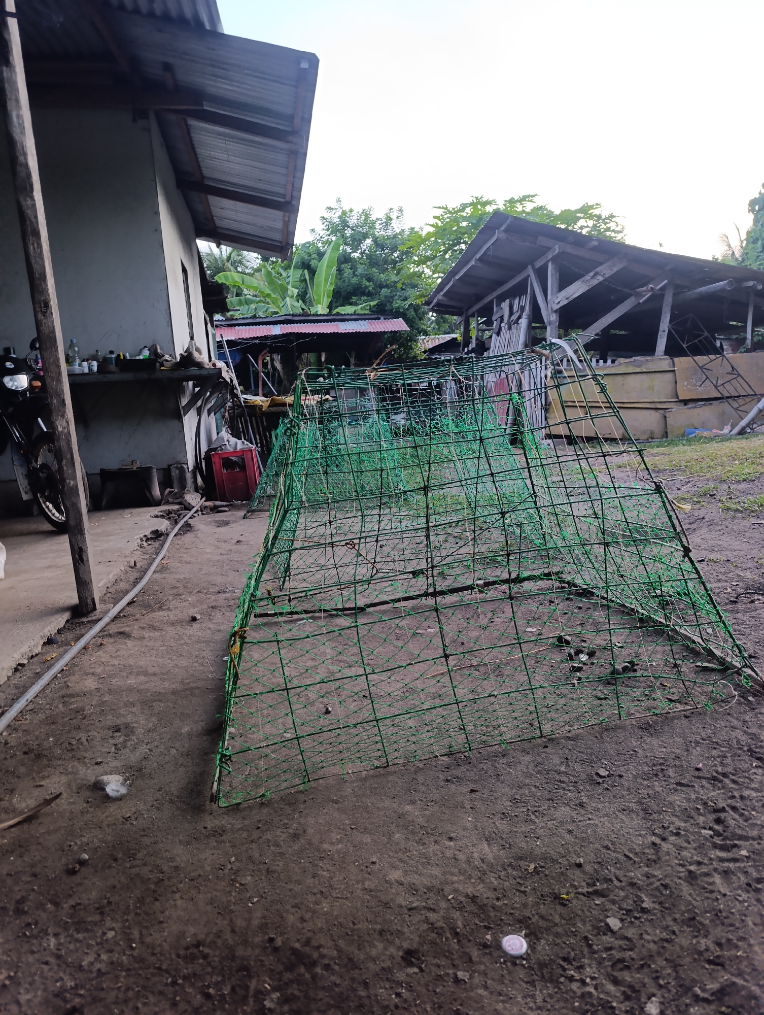 An outdoor scene depicts a rural or semi-rural environment with several structures and objects visible. In the foreground, a large green net enclosure, appearing to be a trap or cage, is set up on the dirt ground. The enclosure is geometric and appears to be made of wire or netting supported by a frame.
To the left, a portion of a building with a corrugated metal roof is visible. A wooden post supports the roof overhang. In front of this building, a motorcycle is parked. Various items are placed on a shelf or table near the building, including bottles and what appear to be tools or containers.
In the background, another structure with a wooden frame and a corrugated metal roof is present. This structure appears to be open and possibly used for storage or as shelter for animals. Trees and foliage are visible behind the structures, suggesting a natural environment. The ground is uneven dirt with some scattered debris. The sky is overcast and light.