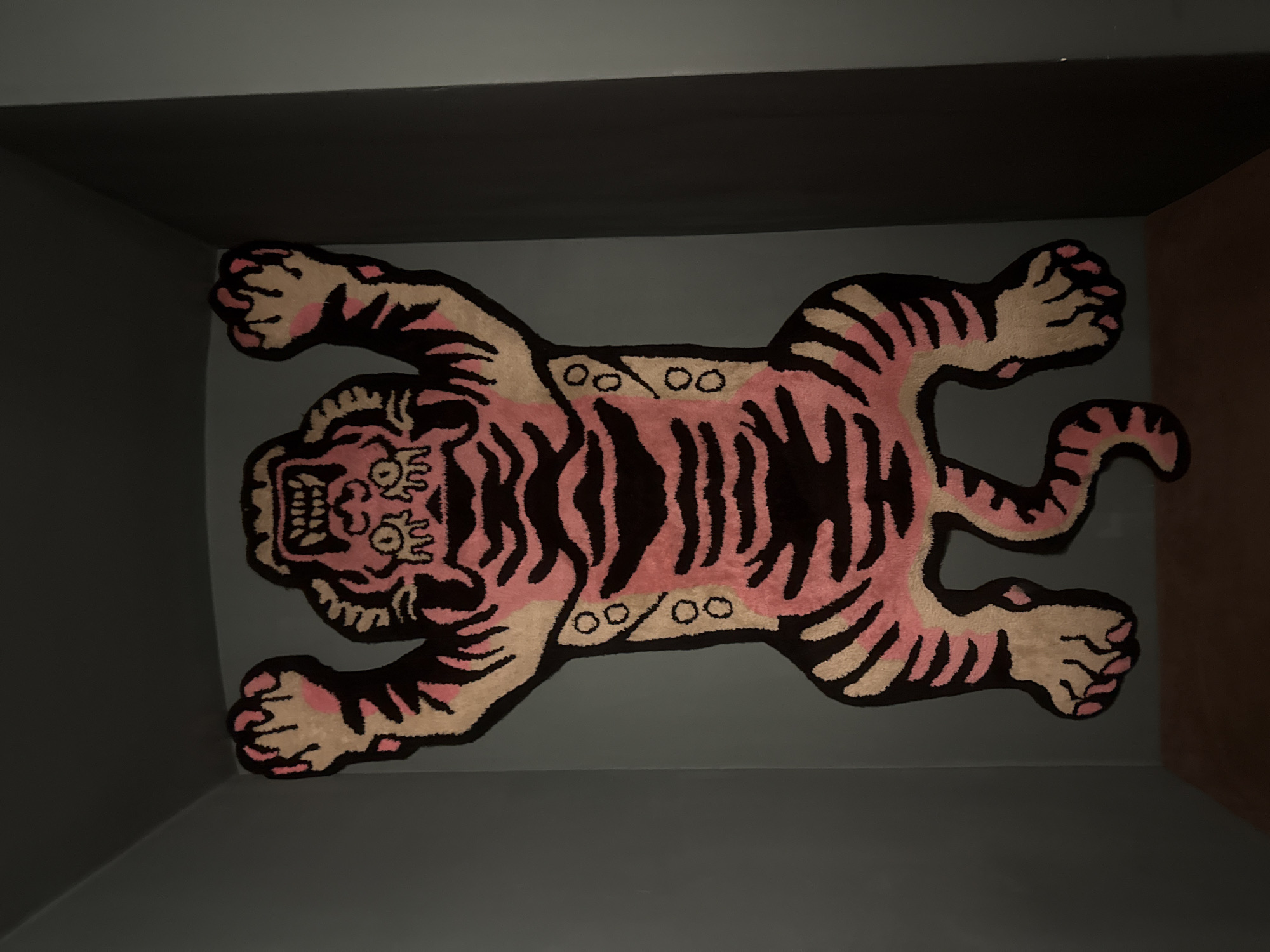 The central subject of the image is a vibrant, stylized rug in the shape of a roaring tiger. The tiger rug features a graphic, two-dimensional design with bold black outlines. Its body is predominantly pink or light red, accented by distinct black stripes. Lighter beige or cream tones are used for its underbelly, snout, and paws, with subtle pink details on the paw pads. The tiger's face is depicted with an open mouth, showing teeth, conveying an aggressive or fierce expression. Decorative circular patterns are also visible on its back.
The rug is laid flat on a dark gray surface, likely an indoor floor, and is framed by dark gray walls, suggesting it's situated in a recessed space or a minimalist room setting. A corner is visible, with a different wall or surface appearing brownish-red on the right side of the frame. The overall lighting is dim, casting a subdued ambiance. No discernible activity is taking place; the image is a static shot highlighting the decorative rug. There is no visible text within the image. While the location context is provided as Moscow, Russia, no specific visual cues within the image itself confirm this.
