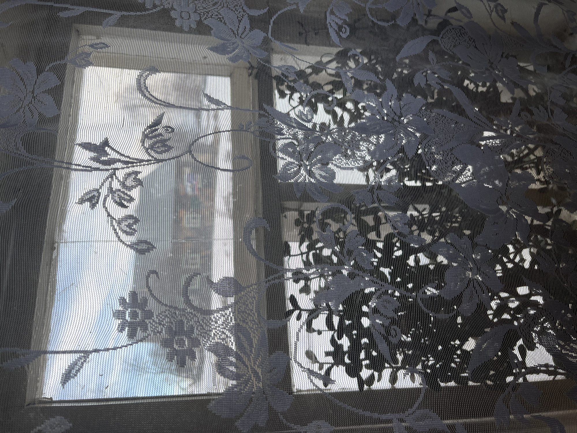 The image displays an interior perspective looking outward through a white, translucent lace curtain adorned with a dense floral and vine pattern. The curtain fully covers a window, partially obscured by a white-painted wooden frame. On the interior side of the window, multiple dark-leaved plants are silhouetted against the bright outdoor light, positioned on a visible windowsill. The external environment, located in the city of Романята, Russia, presents a snow-covered winter landscape under a light blue sky. Visible elements include bare trees or shrubs and a distant residential structure with a dark roof and lighter walls, also partially covered in snow. The scene is illuminated by natural daylight, suggesting daytime.