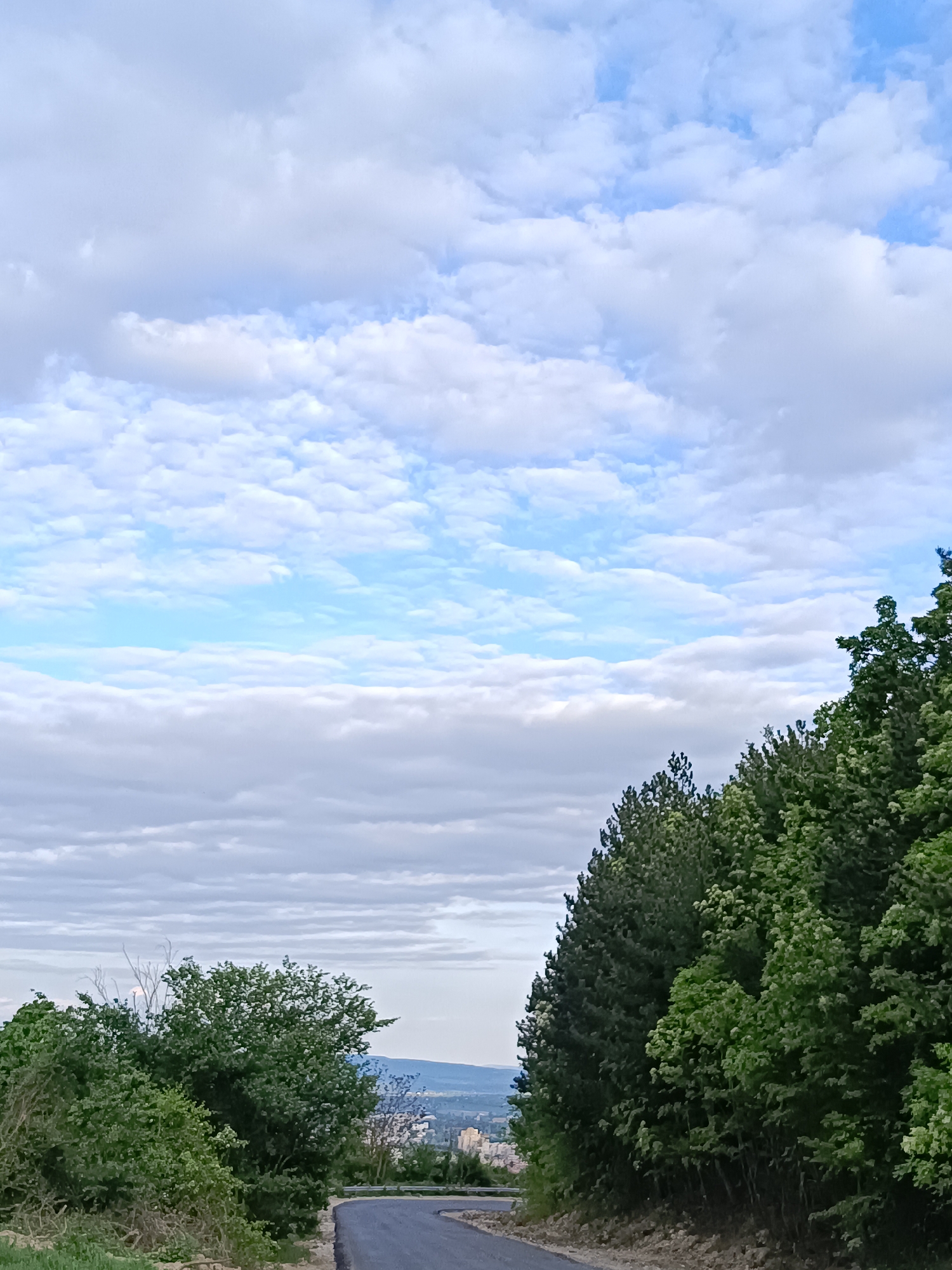 A road winds through a natural landscape, partially obscured by dense trees on one side and shrubs on the other. The sky is predominantly filled with various types of clouds, and in the distance, there is a view of the city. The location is unspecified.