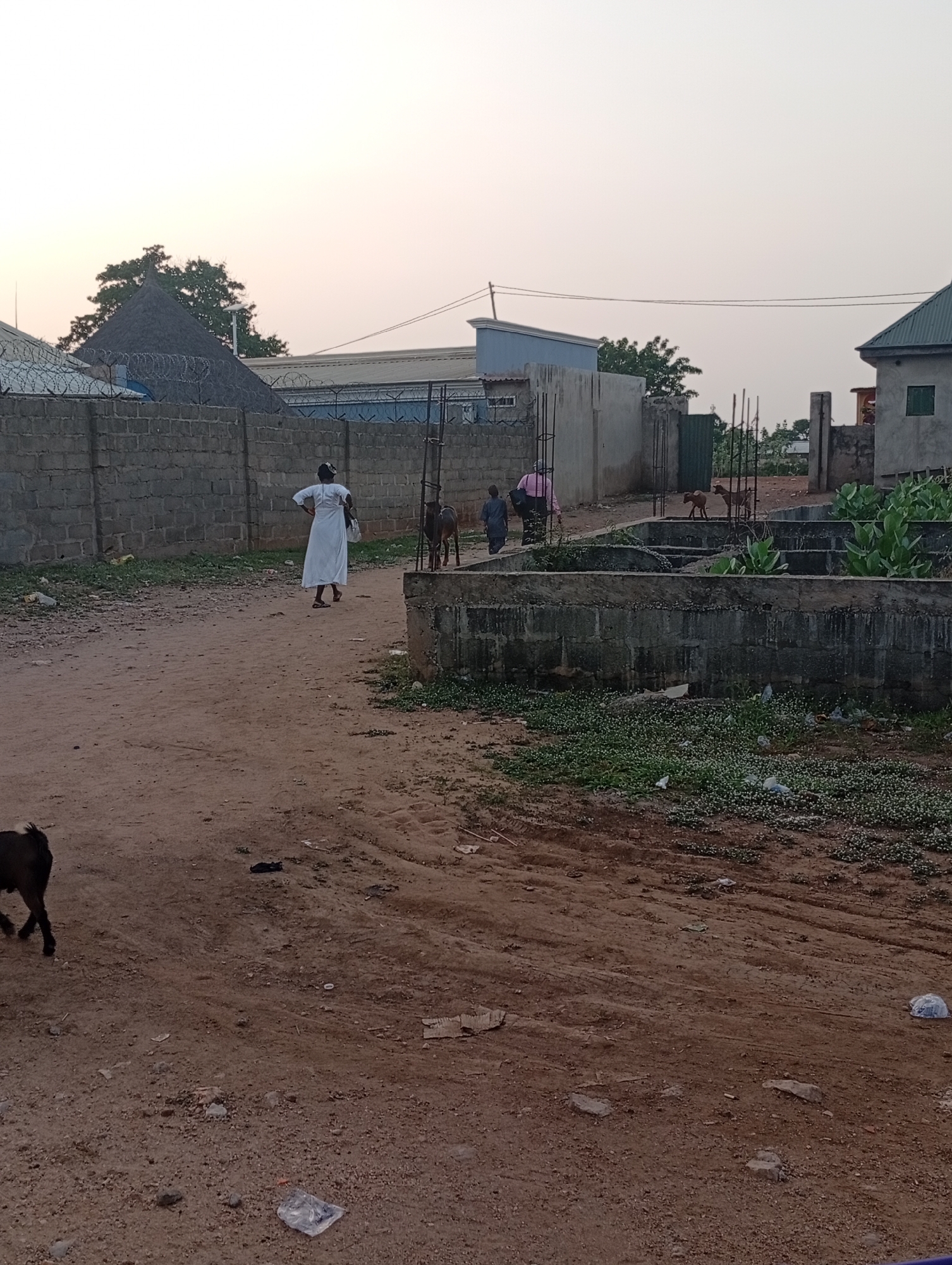 Adankolo, Nigeria, presents a scene on a dirt road lined with structures of varied construction stages and materials. A woman in a long white dress walks away from the camera, her hands on her hips. A child and an adult walking alongside two goats are ahead of her. More goats roam freely. Concrete foundations of unfinished buildings are overgrown with plants and surrounded by scattered debris. The sky is overcast. A stone wall with barbed wire tops one structure, while a thatched roof feature is visible behind it.