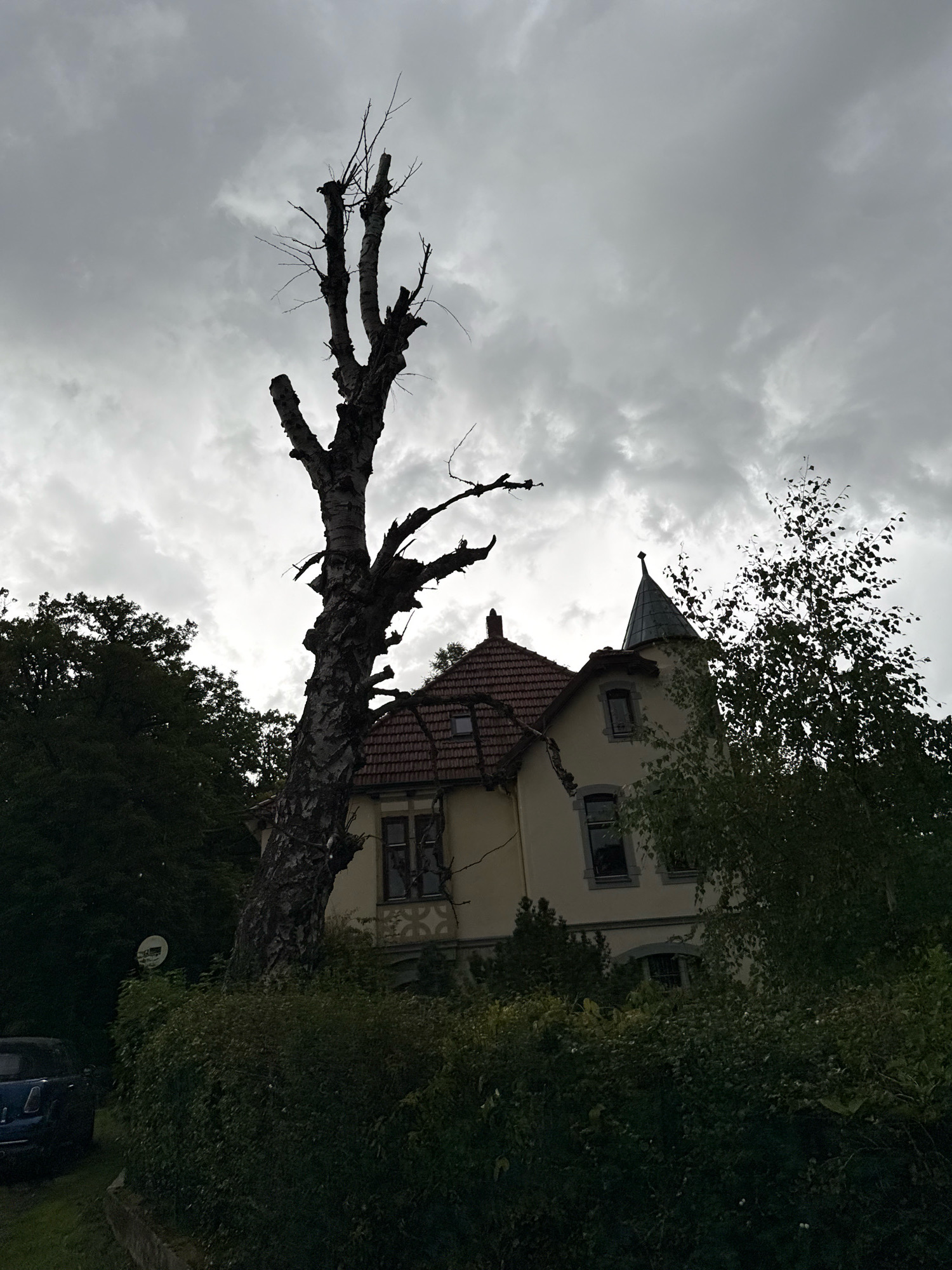 A low-angle, full shot captures a stark, silhouetted dead tree in the foreground against a heavily clouded, overcast sky. The tree, with its bare, gnarled branches reaching upwards, dominates the left half of the frame. To the right and slightly behind the tree is a light-colored, two-story building with a red tile roof and a conical turret. Dark green foliage, including lush bushes and trees, obscures the lower portion of the building and extends to the edges of the frame. A dark blue vehicle is partially visible on the far left, parked on a grassy area. The scene appears to be in a residential area in Bad Sachsa, Germany, with the weather suggesting a dreary, possibly rainy, day.