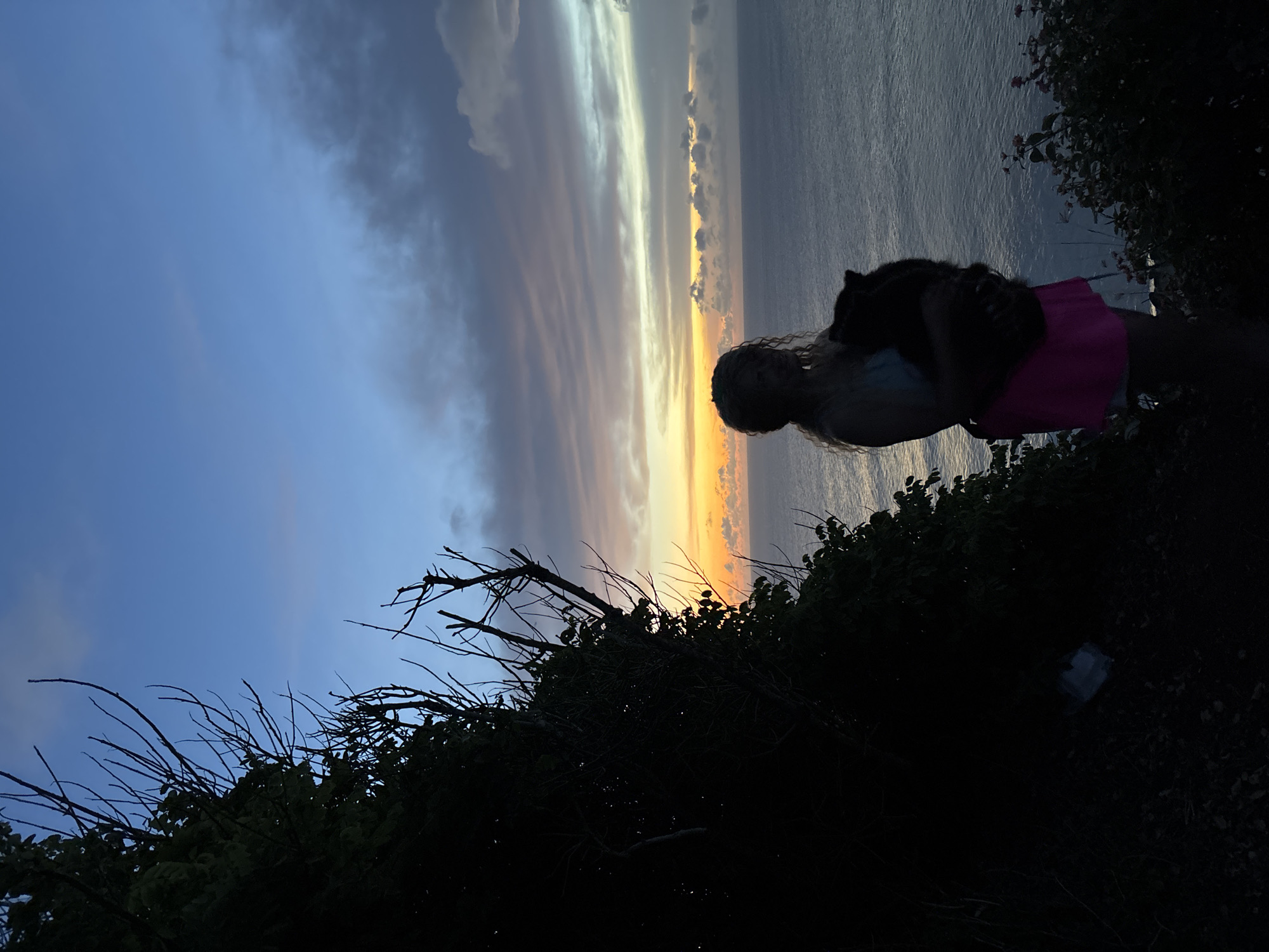 A photograph, presented sideways, captures a scene overlooking a sunset in Uluwatu, Indonesia. A person stands on an elevated location, likely a cliff, partially visible against the light. They are fair-skinned with long, wavy hair, wearing pink shorts and a light-colored top. A dark-colored dog is visible with them, possibly being held or positioned next to them. The ocean stretches out towards the horizon, with streaks of light reflecting off the water. The sky is a gradient of colors, transitioning from blue to a vibrant orange at the horizon. Lush vegetation, appearing in silhouette, surrounds the person. The scene suggests a moment of contemplation or observation.