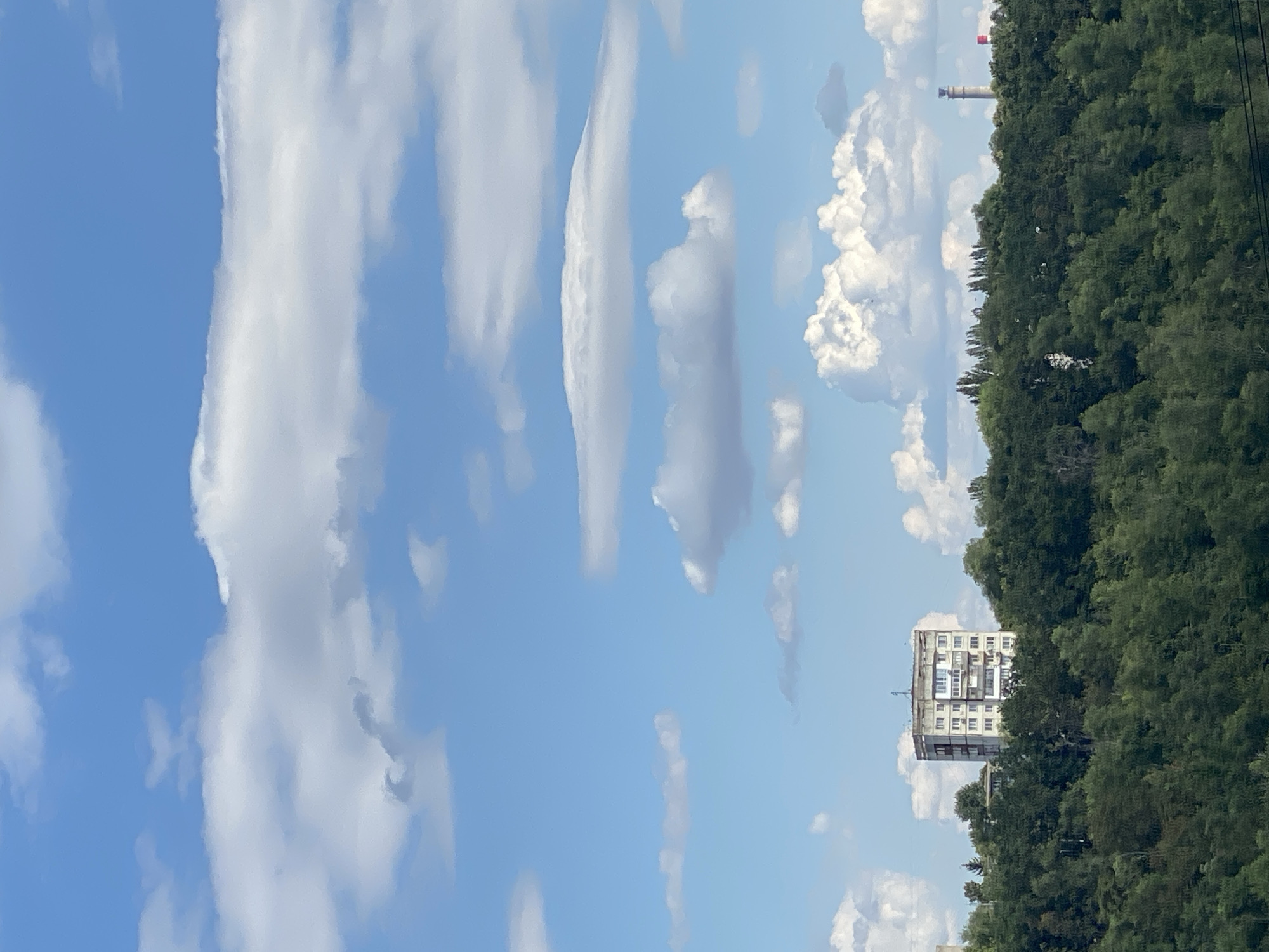 The image captures a bright, partly cloudy day from an elevated perspective, looking out over a lush green forest with a prominent building on its crest. The sky is a vivid blue, dotted with various cloud formations ranging from thin, wispy streaks to larger, more voluminous cumulus clouds.
Dominating the middle ground of the image, situated on the highest point of the tree line, is a multi-story apartment building. It is a light-colored, rectangular structure with a flat roof and numerous windows visible on its facade. The building appears somewhat utilitarian in design.
The foreground and middle ground are densely populated with mature green trees, forming a thick canopy that covers the rolling terrain. The trees exhibit varied shades of green, suggesting a mix of species and varying light conditions.
In the far background, to the right of the apartment building, two industrial chimneys are visible rising above the tree line. One is a tall, concrete structure with a band of red around its top, and the other is a shorter, red-capped chimney. These suggest the presence of industrial or energy-related facilities in the vicinity.
The overall impression is one of a semi-urban landscape, where residential architecture and natural elements, like the dense forest, coexist with industrial structures. The scene is likely situated on the outskirts of Chișinău, Moldova, given the typical architecture and the presence of industrial chimneys often found in such areas. No people or animals are visible in the frame, and no actions or interactions are depicted. The focus is on the static elements of the landscape under a dynamic sky.