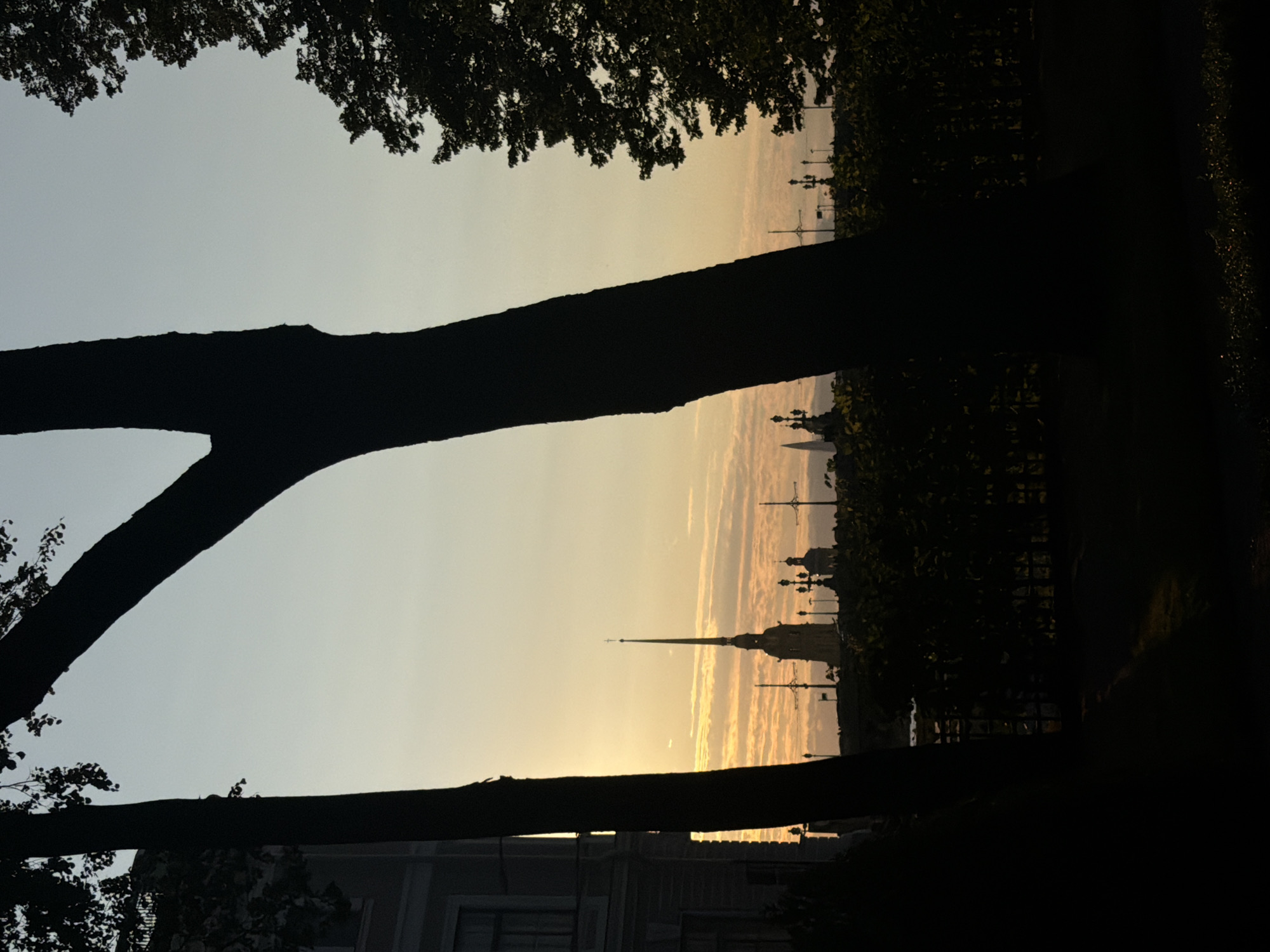 The image depicts a silhouetted view of the Peter and Paul Fortress in Saint Petersburg, Russia, at sunset. Two large trees in the foreground cast dark shadows across the scene, framing a distant view of the fortress's spire, which is illuminated by the setting sun. The sky transitions from a pale blue at the top to a warm orange and yellow near the horizon, with streaks of clouds visible. Several other buildings and lampposts are visible in the middle ground, also silhouetted against the sky. A low hedge runs across the middle of the image, partially obscuring the lower portions of the buildings. The foreground is dark, with a patch of grass illuminated by the last rays of sunlight. There are no people visible in the image.