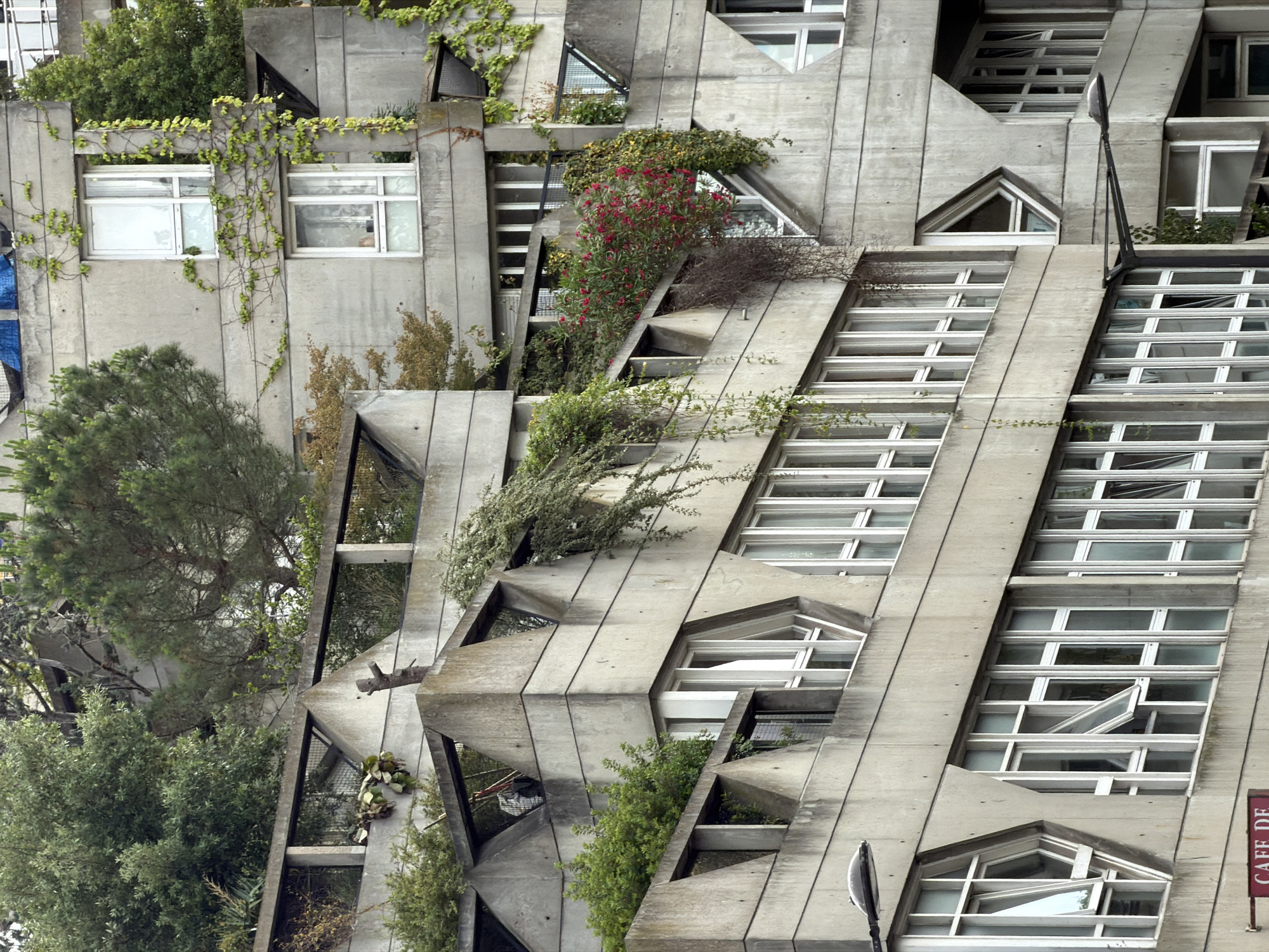 The image depicts a section of the Balcon du Cité cooperative housing complex, located in Ivry-sur-Seine, France. The architecture is characterized by exposed concrete Brutalist design, with angular balconies and numerous windows. Lush vegetation, including trees, vines, and flowering plants, grows on and around the structure, softening the concrete aesthetic. The balconies are integrated into the building's facade, creating terraced levels abundant with greenery. The windows are predominantly white-framed, with a grid-like pattern. The overall impression is a unique blend of stark concrete architecture and organic overgrowth.