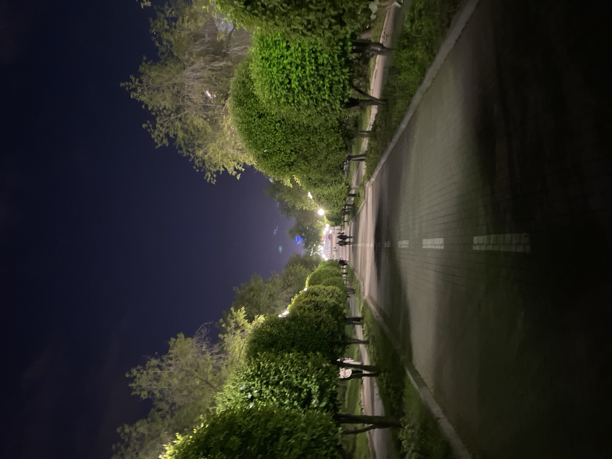 This is a nighttime scene along a pedestrian path in Yekaterinburg, Russia. The path is lined with manicured, globe-shaped trees. The path is made of brick and has white lane markings. Further down the path, there are a few people walking away from the camera. Streetlights illuminate the path. To the left of the path, there are trees and a dark sky. To the right of the path, it is dark and there is a small grassy patch.