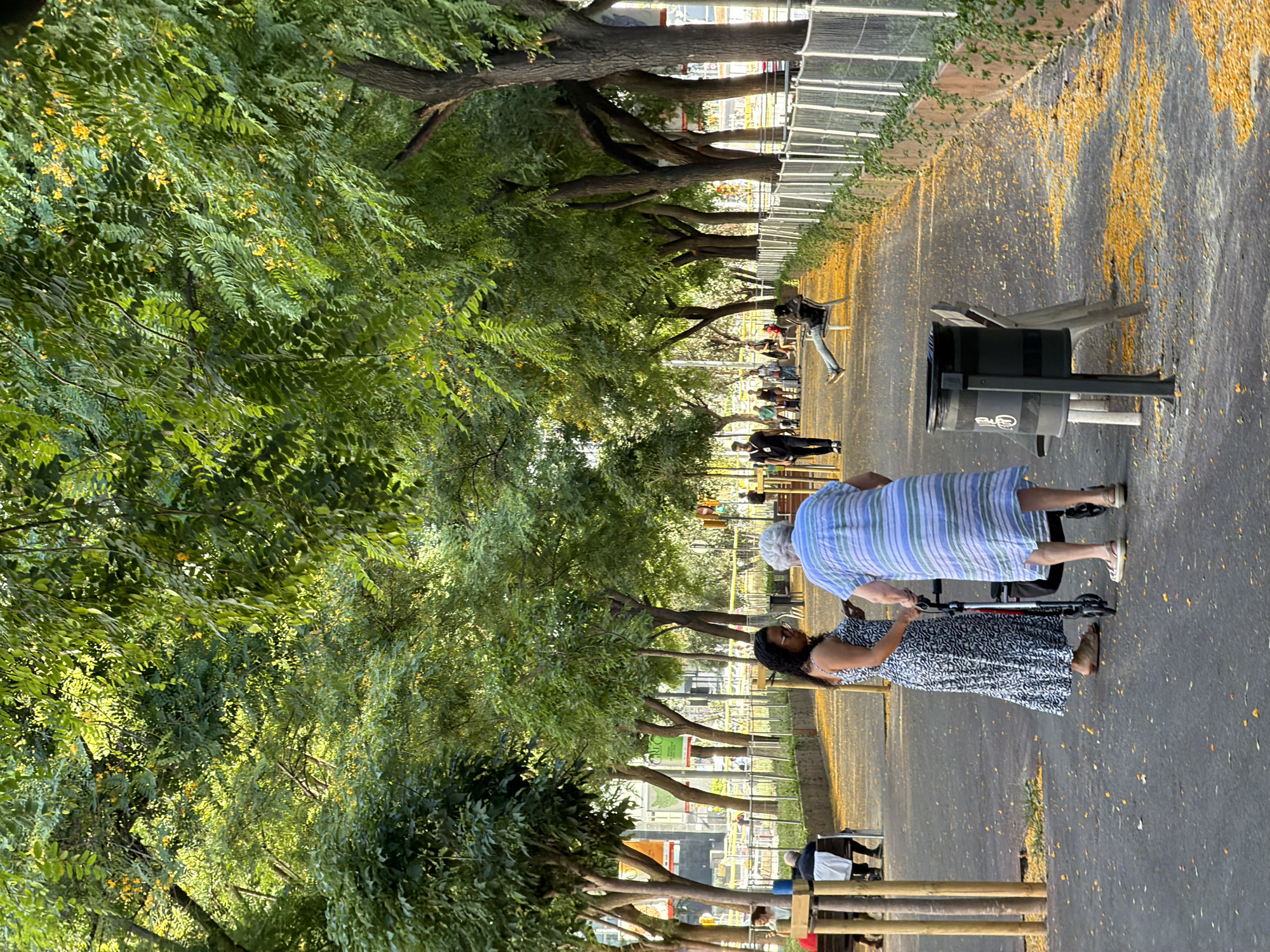 This image depicts a scene in a park or public walkway lined with trees and a fence. The ground is covered with scattered yellow leaves, suggesting an autumn setting or a tree with naturally shedding foliage. In the foreground, two women are visible. One woman, wearing a blue and white striped dress, is standing next to a wheelchair. The other woman, in a black and white patterned dress, is pushing the wheelchair. A trash bin is also visible near the wheelchair.
Further down the walkway, several other people can be seen walking or sitting. The scene appears to be outdoors during the daytime, with sunlight filtering through the trees. The presence of benches and people enjoying the outdoor space indicates a leisurely atmosphere. The backdrop includes more trees and what appears to be a modern structure with a glass or transparent facade behind the fence. Without more specific visual cues, it is difficult to definitively place the location beyond a general urban park setting. However, given the context of Barcelona, Spain, this could be a park within the city. There is no discernible text in the image.