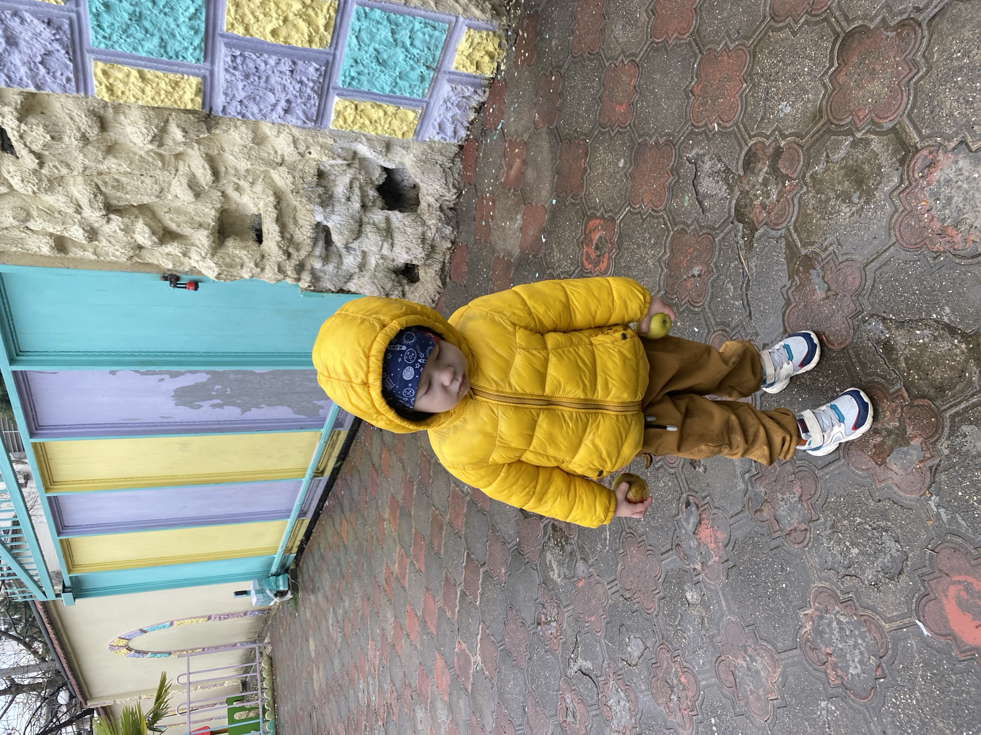 The image depicts a young child standing on a wet, paved surface in an outdoor setting within Sochi, Russia. The child, positioned centrally, wears a bright yellow hooded puffer jacket, brown pants, and white, blue, and grey sneakers. A dark blue bandana with white celestial patterns is visible beneath the hood. The child's head is tilted downwards, and a small, greenish-yellow fruit is held in each hand.
The immediate background features a colorful, weathered environment. To the left, a light beige stucco wall with a decorative, arched recess containing yellow and purple mosaic-like elements is visible. Beyond this wall, bare tree branches are discernible against a grey sky. Towards the center-right, a multi-paneled sliding gate is present, with individual panels alternately painted light blue, yellow, and light purple; the paint appears worn and peeling in sections. A red padlock secures a light blue door panel to the right of the gate. Further right, a textured, rough light beige wall abuts a section of wall adorned with rectangular blocks in alternating yellow, light purple, and light blue.
The ground is paved with interlocking, quatrefoil-patterned pavers, primarily grey with reddish-brown elements. The surface is visibly wet, with scattered puddles reflecting the surroundings, indicating damp conditions.