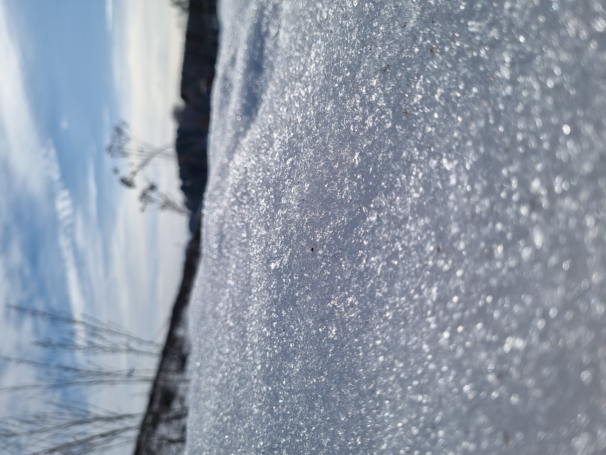 The image presents a low-angle perspective of a snow-covered ground, likely located in or near Chaikovsky, Russia. The immediate foreground is entirely comprised of tightly packed ice or snow crystals, brightly illuminated by direct sunlight, creating a shimmering, granular surface. A faint, elongated indentation or track is discernible within the snow, extending horizontally through the mid-foreground. The background is out of focus, revealing a dark, undulating horizontal line that suggests a distant embankment or a cluster of bare trees. Above this indistinct horizon, several blurred, slender plant stalks or branches are visible against a bright blue sky with scattered white clouds. No people, animals, or artificial structures are present, and no overt actions or interactions are depicted within the scene.