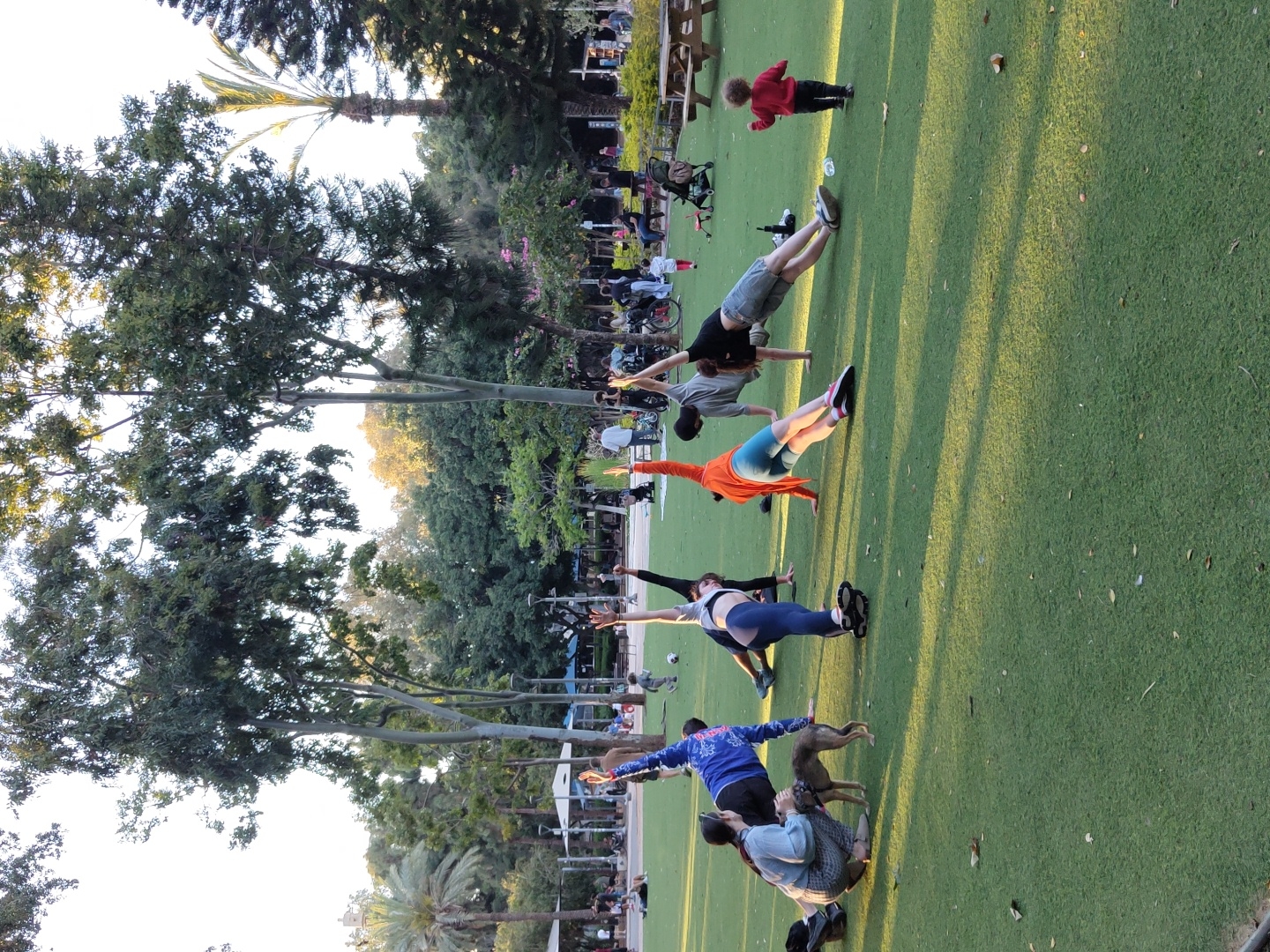 The image captures an outdoor fitness or yoga session taking place in a park, likely in Tel-Aviv, Israel. The scene features a group of individuals, primarily adults, performing a balancing exercise that resembles a side plank with an extended arm and leg. They are lined up on a vibrant green, artificial turf surface, facing towards the right side of the frame (if rotated correctly).
In the foreground, a person in a blue top is seen with a dog, both engaged in the activity, mirroring the pose. Further down the line, other participants are focused on their exercise. A small child in a red top stands in the upper right quadrant of the image. The background is filled with numerous tall trees, including what appears to be a palm tree, suggesting a lush park environment. Several picnic tables or benches are visible further back, with other people milling about, some with strollers or bicycles, indicating a public recreational area.
The time of day appears to be late afternoon or early evening, characterized by the warm, golden light casting long shadows across the grass, often referred to as "golden hour." The weather is sunny and clear. No visible text is present in the image. The overall atmosphere is one of focused exercise and leisurely outdoor activity in a pleasant park setting.