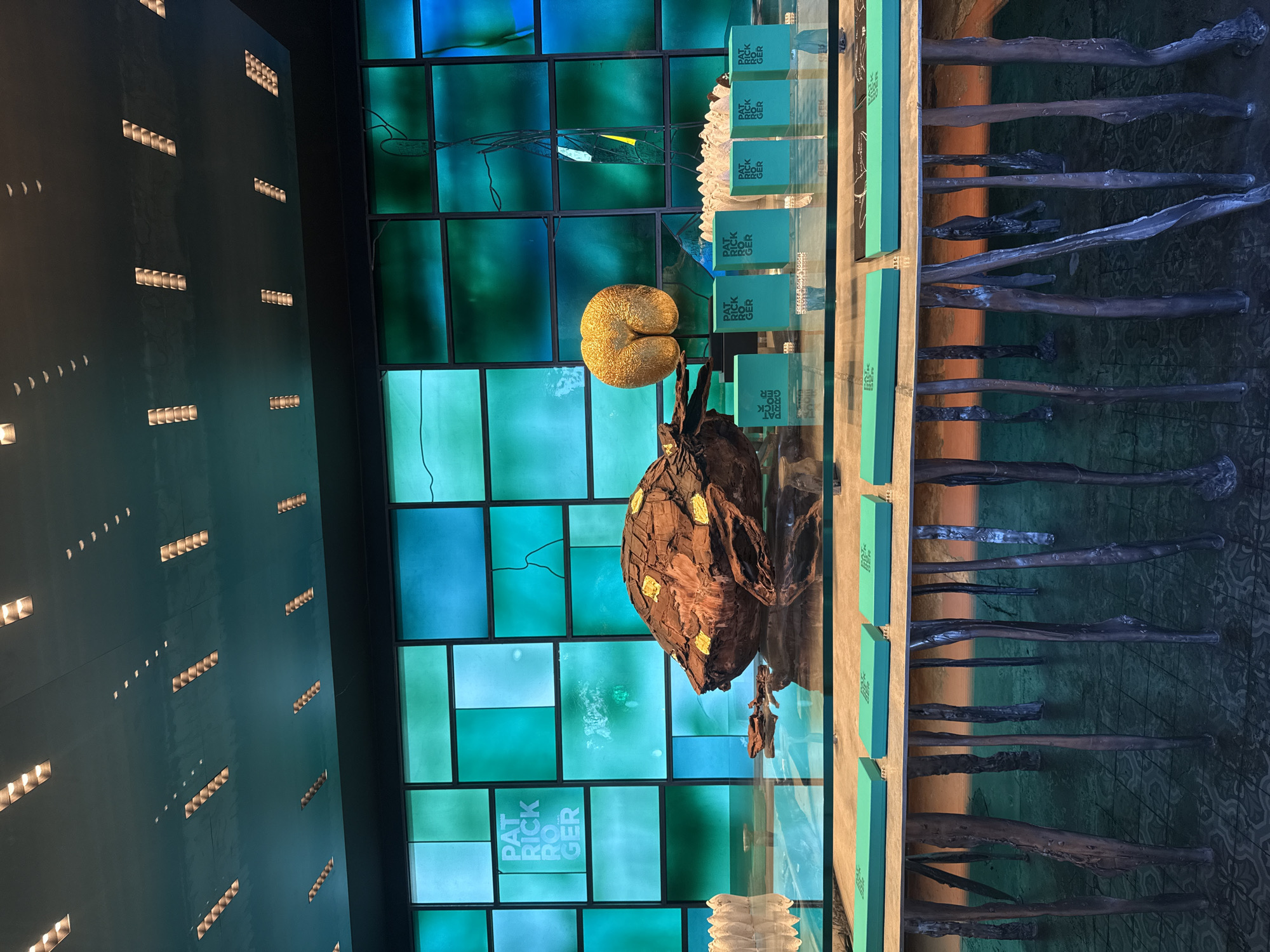 An interior shot captures a sophisticated retail or display environment, likely a high-end chocolatier in Paris, France, given the visible branding. The scene is dominated by a clear glass display case featuring artistic chocolate sculptures.
In the center of the display, a golden, textured, C-shaped object resembling a melon sits alongside a larger, dark brown, organic, textured sculpture with gold leaf accents, possibly depicting a large seed pod or a piece of bark. Above these, within the display case, are multiple teal-colored rectangular boxes neatly stacked, each bearing the name "PATRICK ROGER" in white capital letters. Some white crystalline objects are also part of this upper display.
The background behind the display is a large wall composed of numerous back-lit rectangular panels in varying shades of blue and green, forming a vibrant grid pattern. The words "PATRICK ROGER" are also visible on one of these panels. To the far left, a dark teal wall is adorned with horizontal rows of small, rectangular, illuminated light fixtures. To the far right, another display showcases numerous elongated, dark, textured objects that resemble sculpted tree branches or wands, arranged vertically against a subtly patterned background.
The overall atmosphere suggests an artful presentation of luxury goods, highlighting the craftsmanship and brand identity.