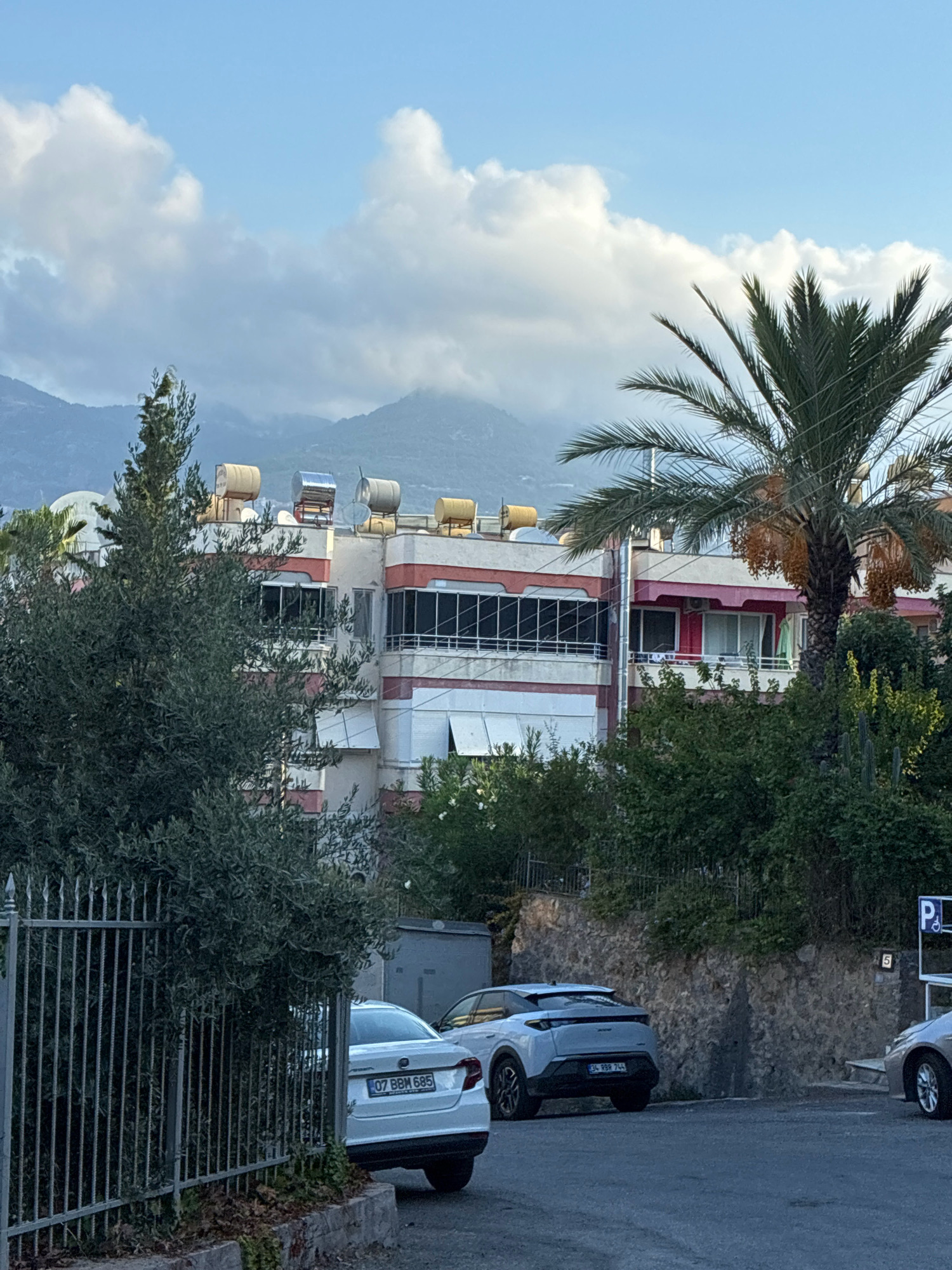 Memory