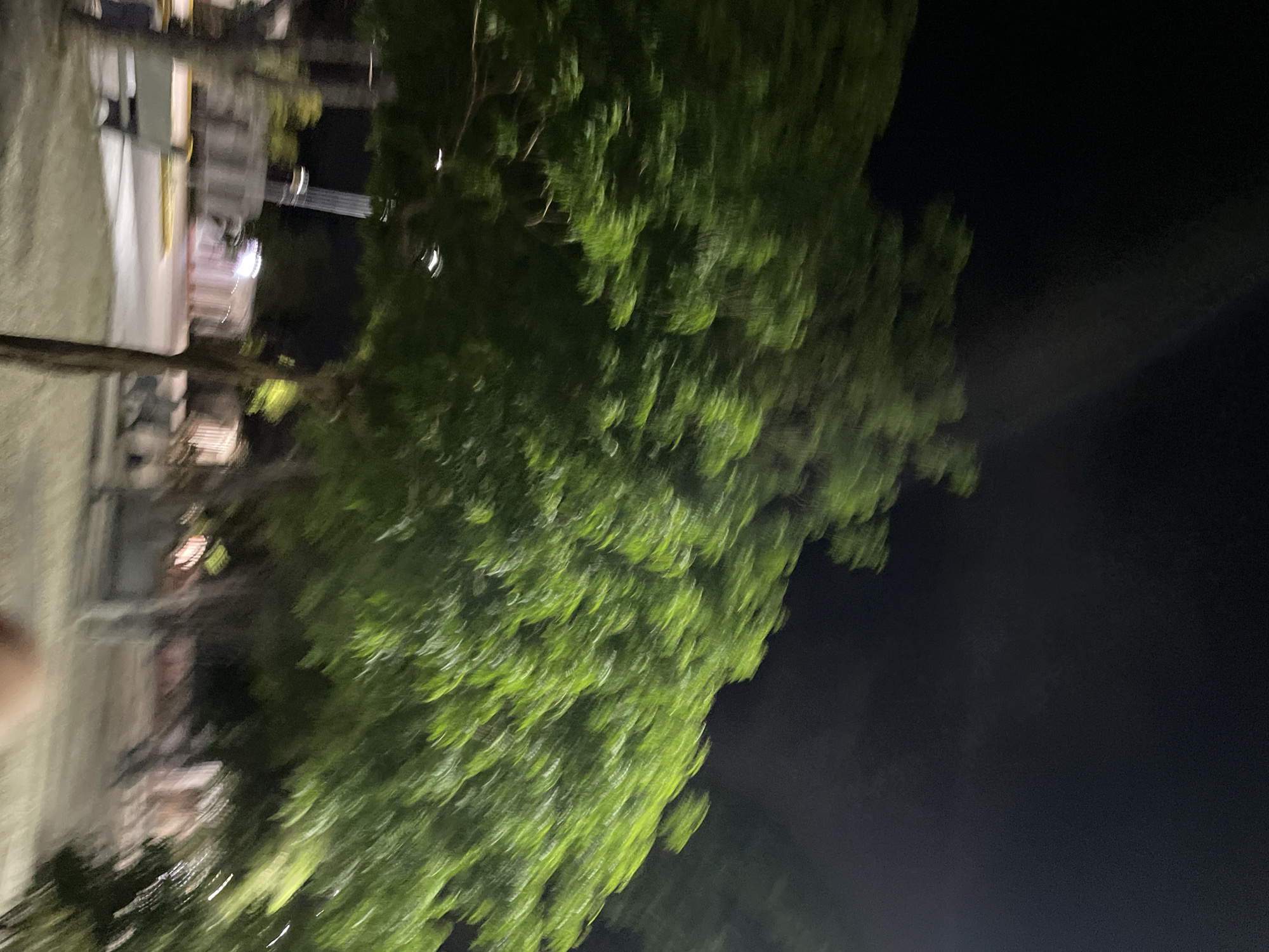 The image depicts a blurry nighttime scene in the city of Santa Ana, Venezuela. The foreground is dominated by the motion-blurred foliage of a large green tree, suggesting movement possibly from wind or camera shake. Behind the tree, the background is dark with streaks of light that could be from streetlights or passing vehicles. To the left, a blurred bench is visible, and further back, indistinct structures and lights suggest an urban or park setting. The overall impression is one of low light and movement, making specific details difficult to discern.