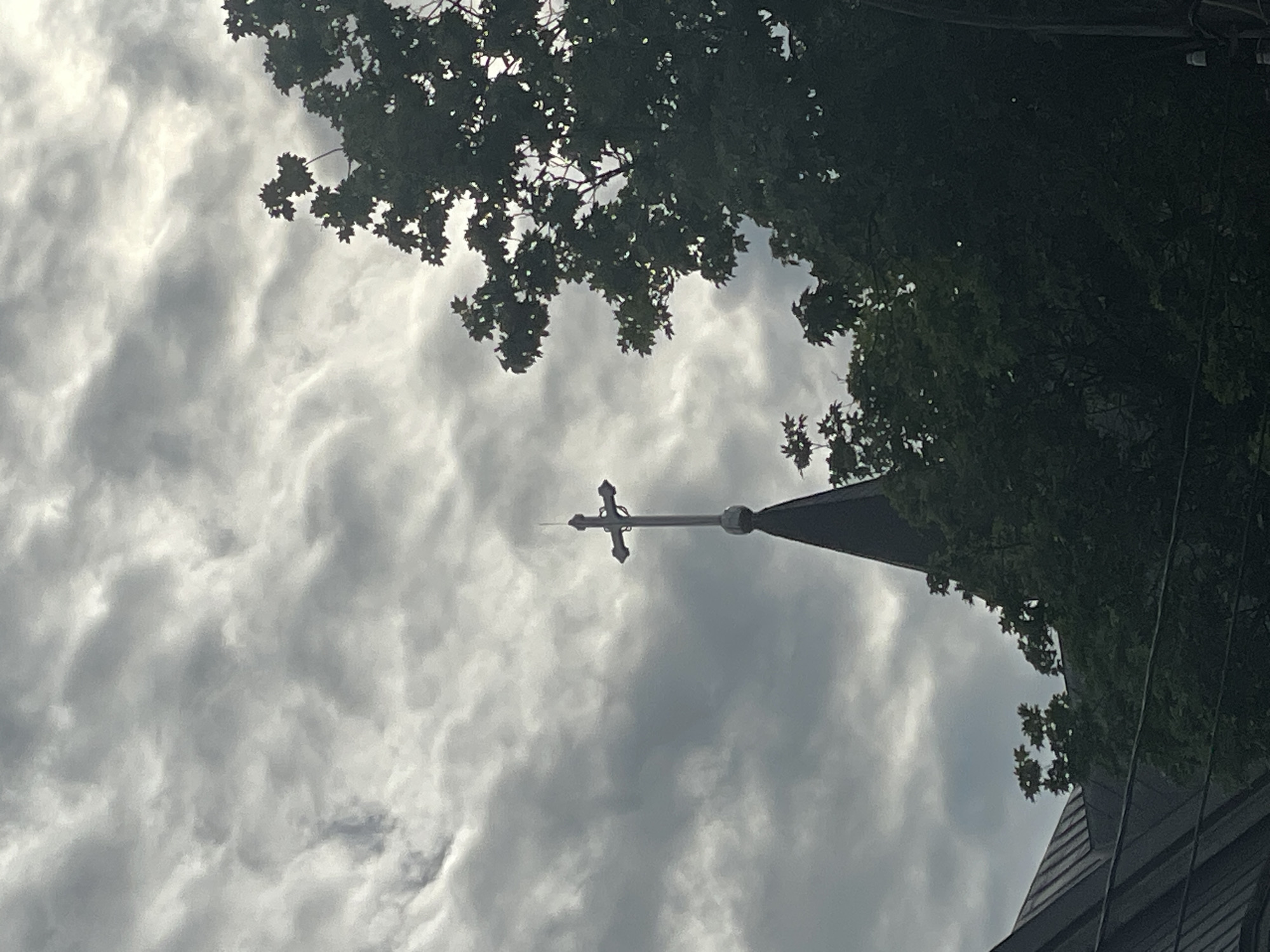 The image captures a low-angle view of a church steeple topped with a cross, positioned against a backdrop of overcast skies and interspersed with tree branches. The spire and cross are centrally located, appearing silhouetted. The trees are in the upper portion of the frame, obscuring some of the sky. A building is visible at the lower right.
The location of the image in the city of Mykolaiv, Ukraine, is not possible to confirm from this image.